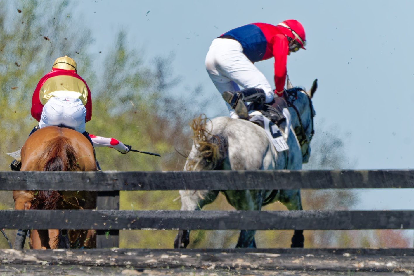 Two jockeys riding horses during a steeplechase race; one rider dressed in red and blue, the other in yellow and red, both navigating over a fence with a background of trees and a clear sky.