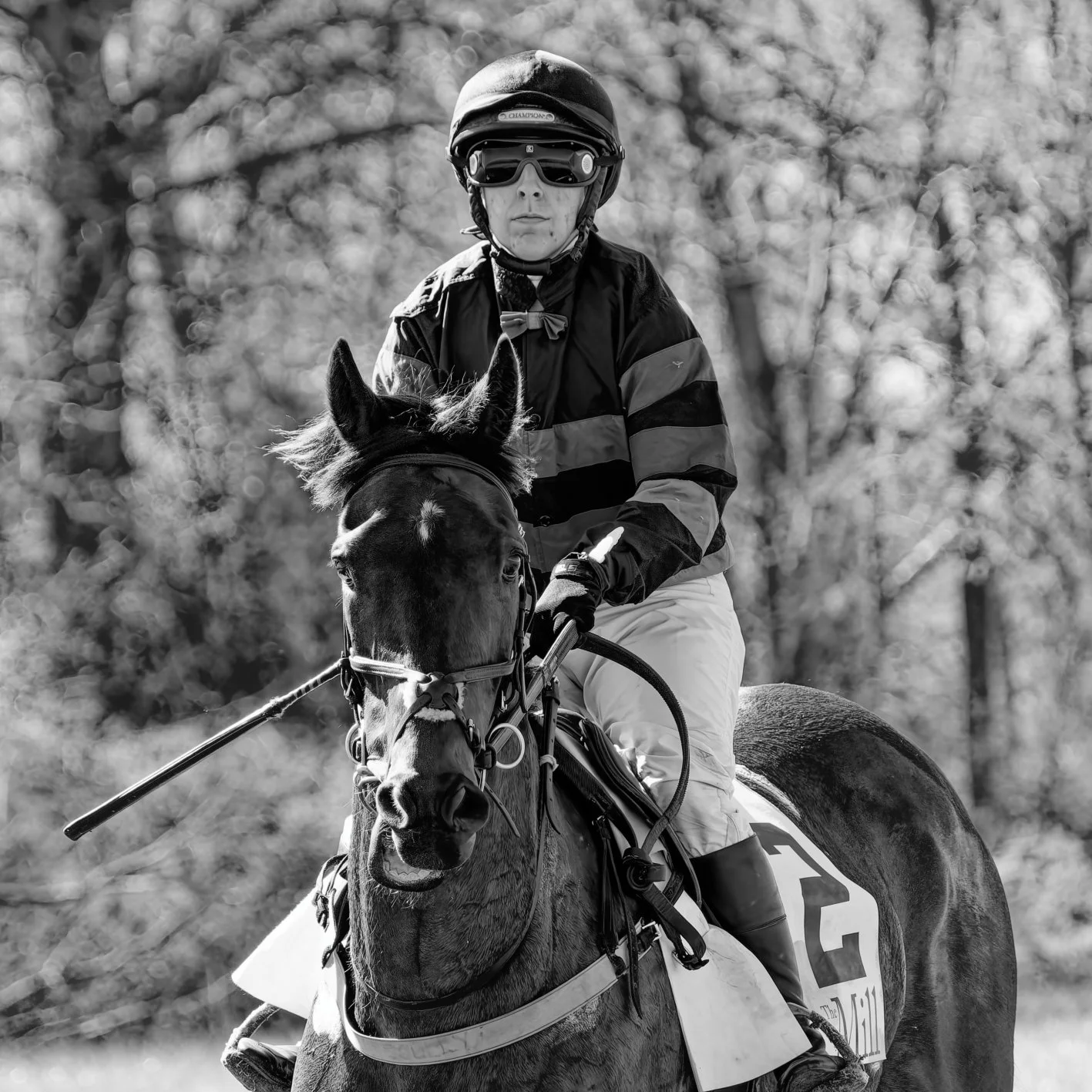 A person wearing a helmet and sunglasses riding a horse outdoors, with trees blurred in the background.