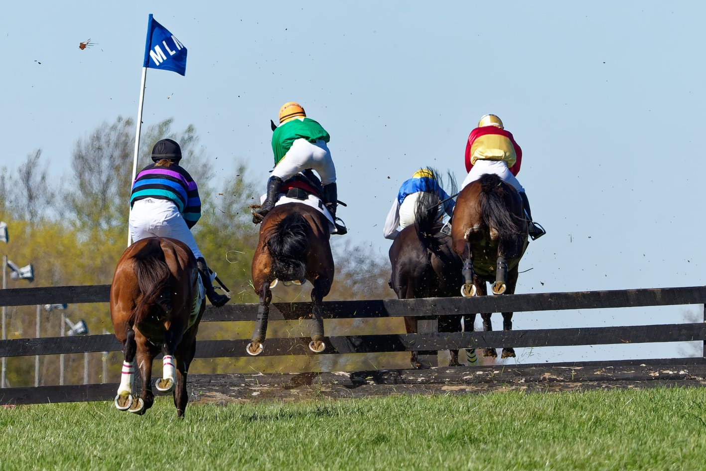 Four polo players on horseback jumping over a fence during a match, with a blue flag and trees in the background.
