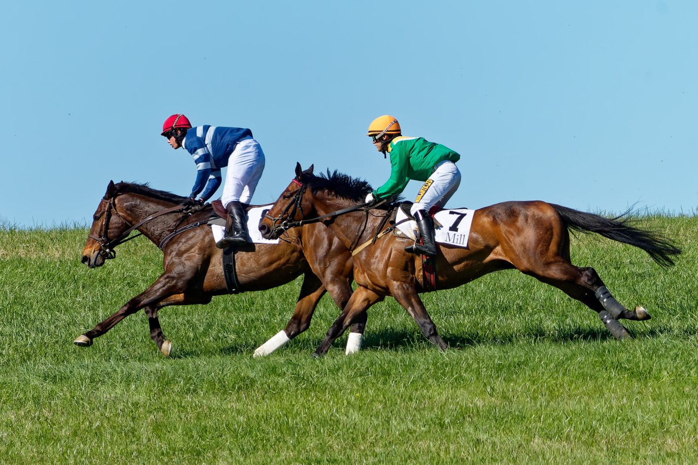 Two jockeys riding horses in a horse race on a grassy field under a clear blue sky.