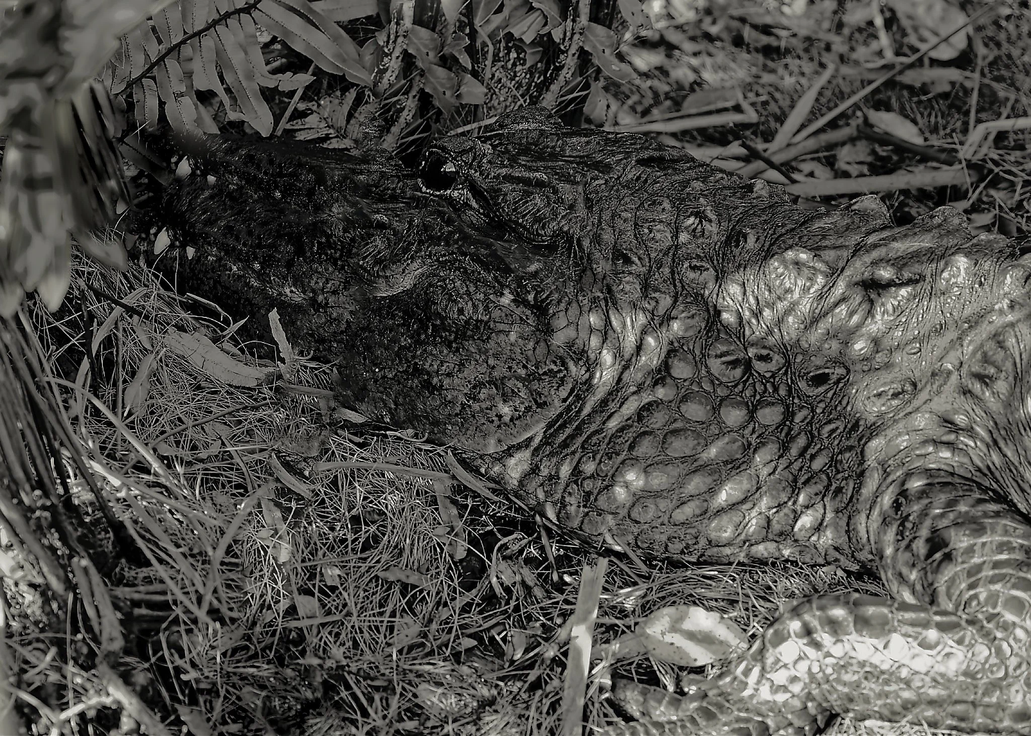 DSC00757_DxO_DxO.jpg