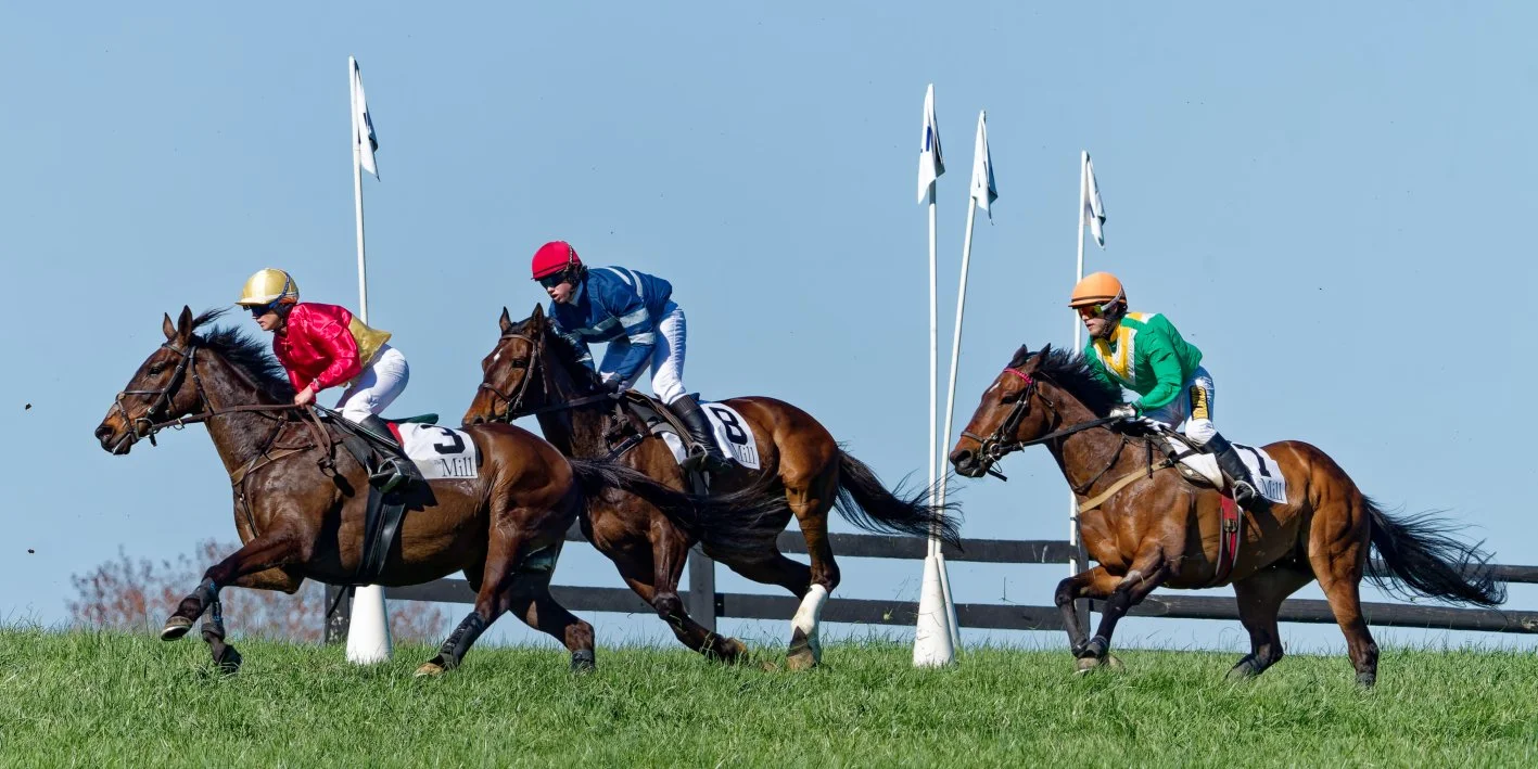 Three jockeys riding racehorses, racing on a grass track with white poles and flags in the background, under a blue sky.