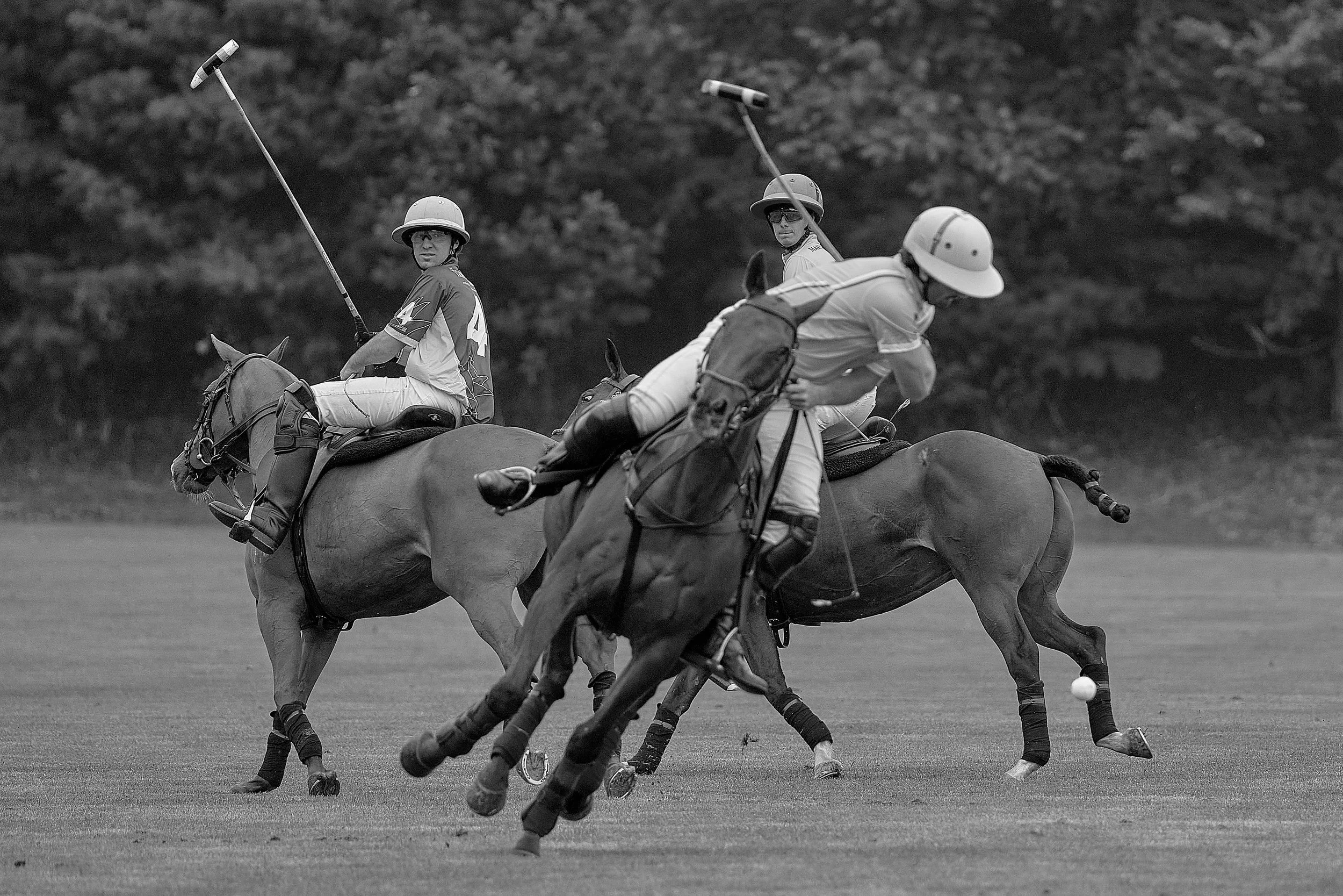 MS-Father's Day 39.jpg