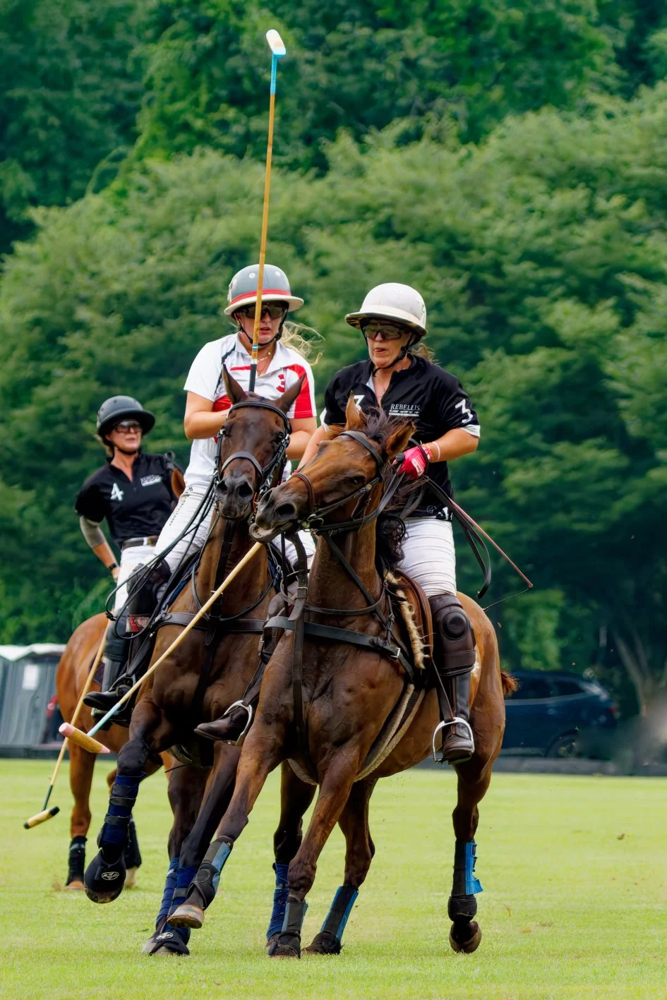 DSC09899MS-WC-7-10.jpg