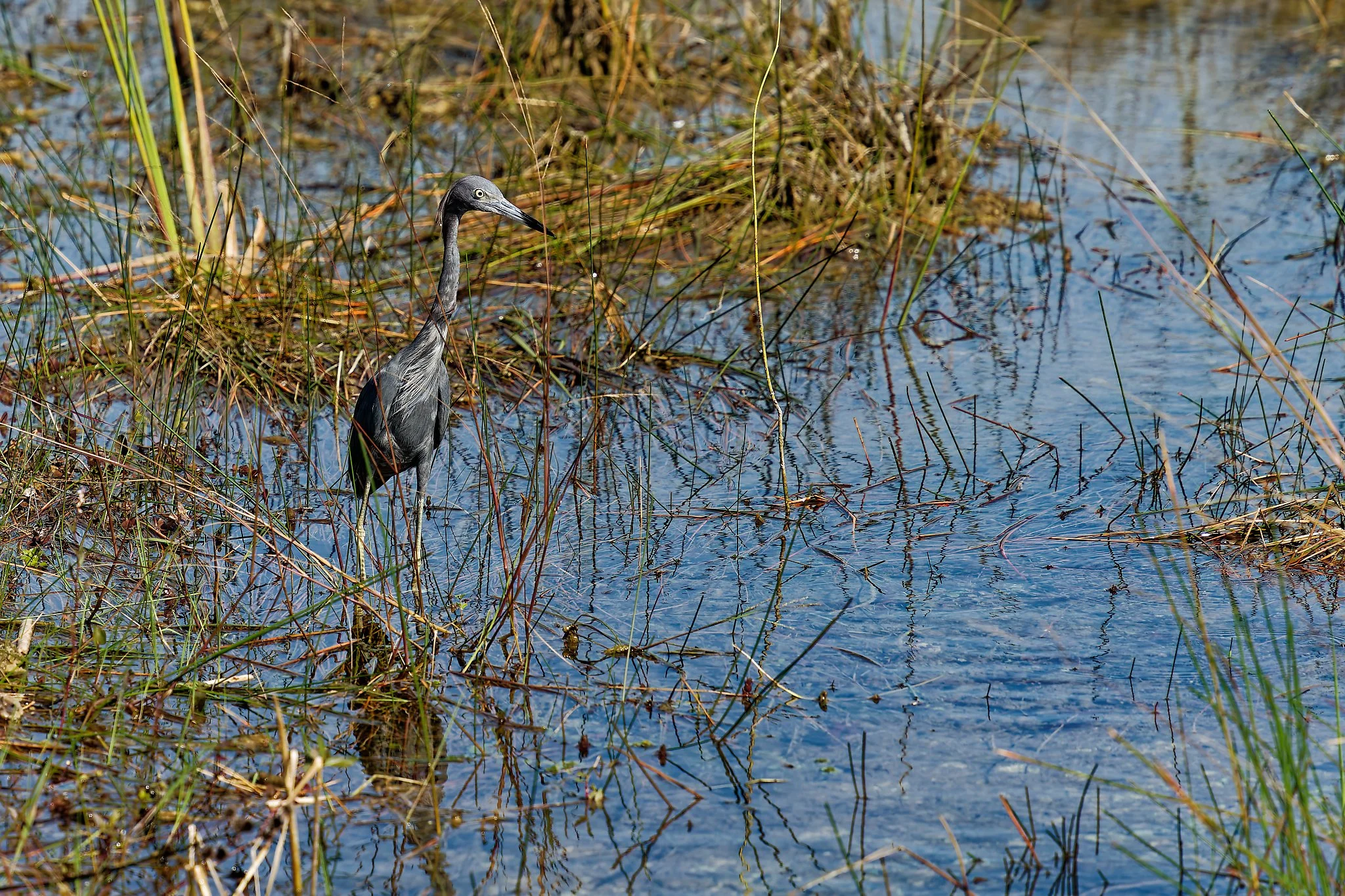 DSC00835_DxO.jpg
