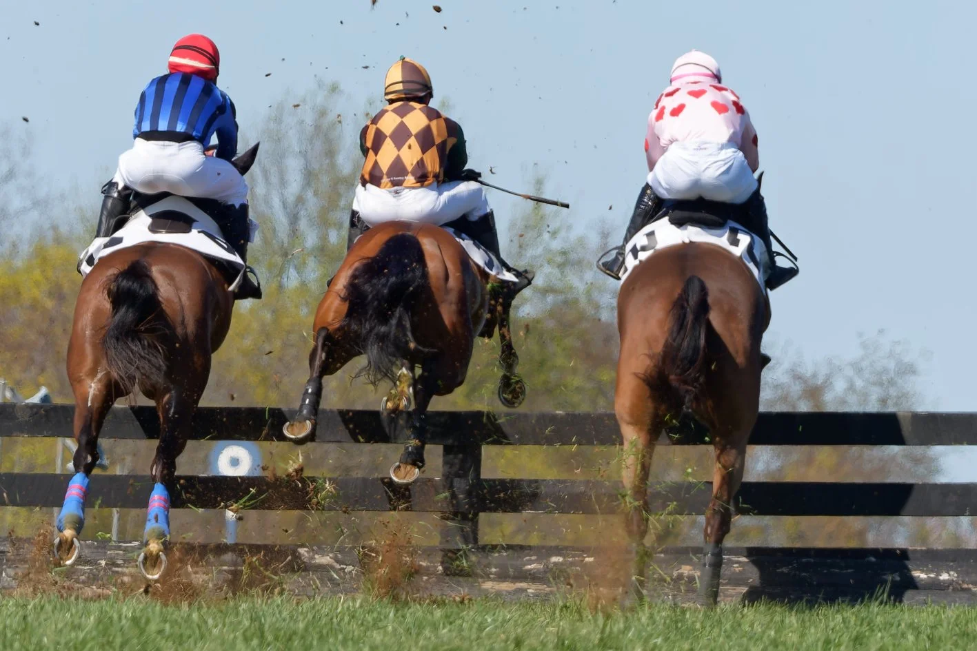 Three jockeys riding racehorses over a fence during a steeplechase, seen from behind against a clear sky.