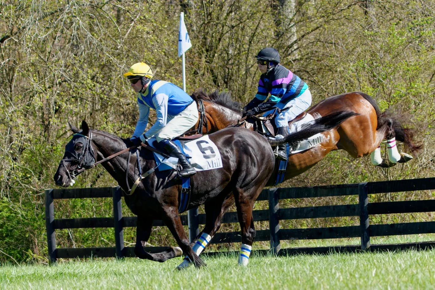 Two racehorses and their jockeys jump over a hurdle during a steeplechase race, with a wooded background and a black fence in the foreground.