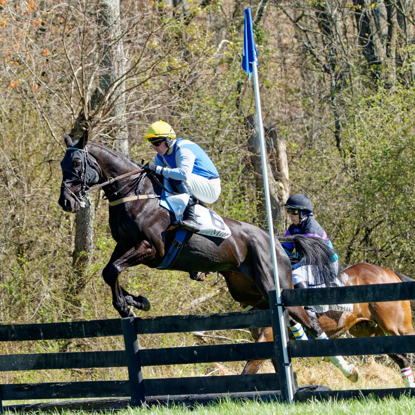 A horse race with two jockeys riding thoroughbred horses jumping over a hurdle during a steeplechase race on a grassy field with trees in the background.