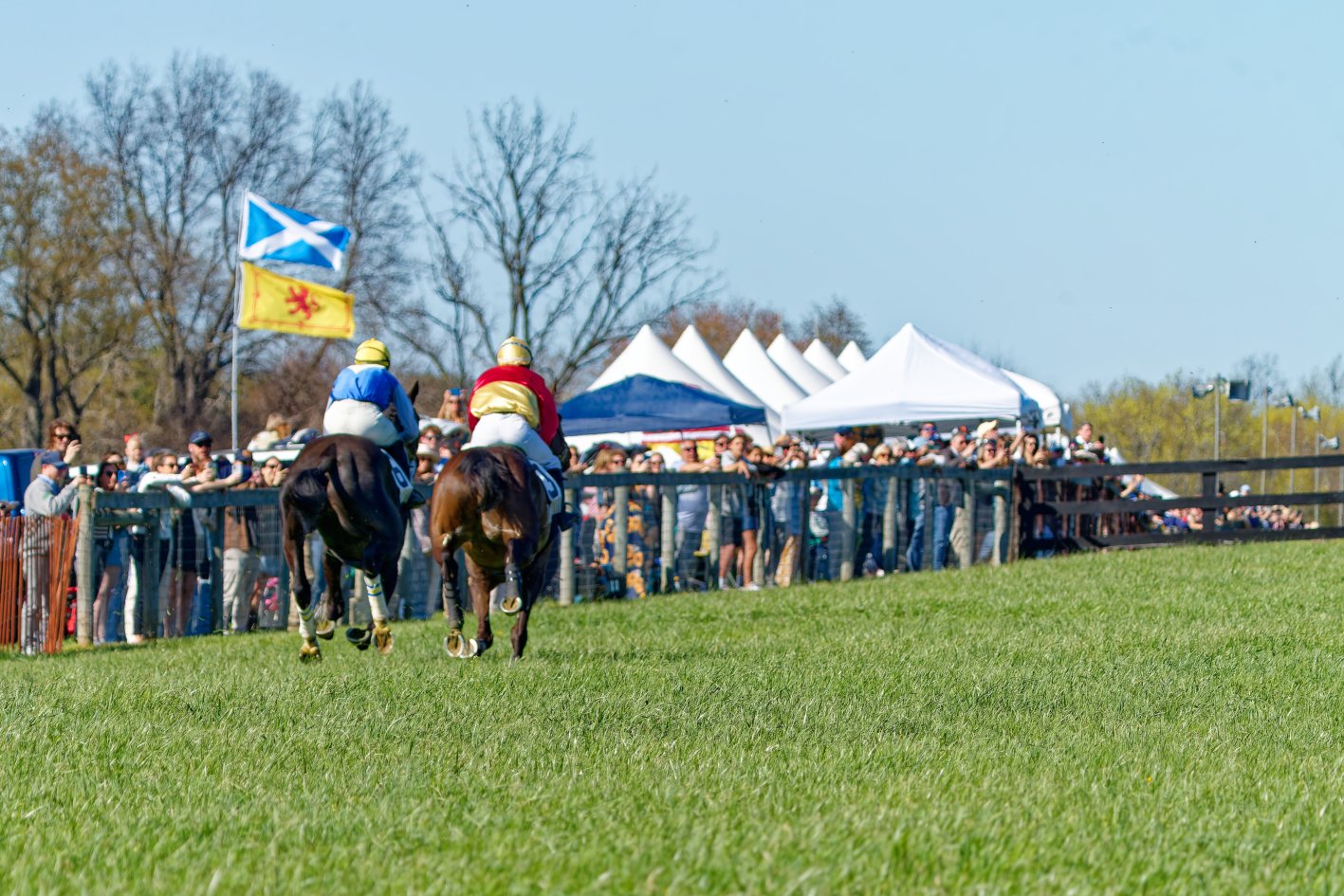 Two jockeys riding horses on a grassy racecourse with spectators behind a fence and tents in the background, displaying Scottish flags.