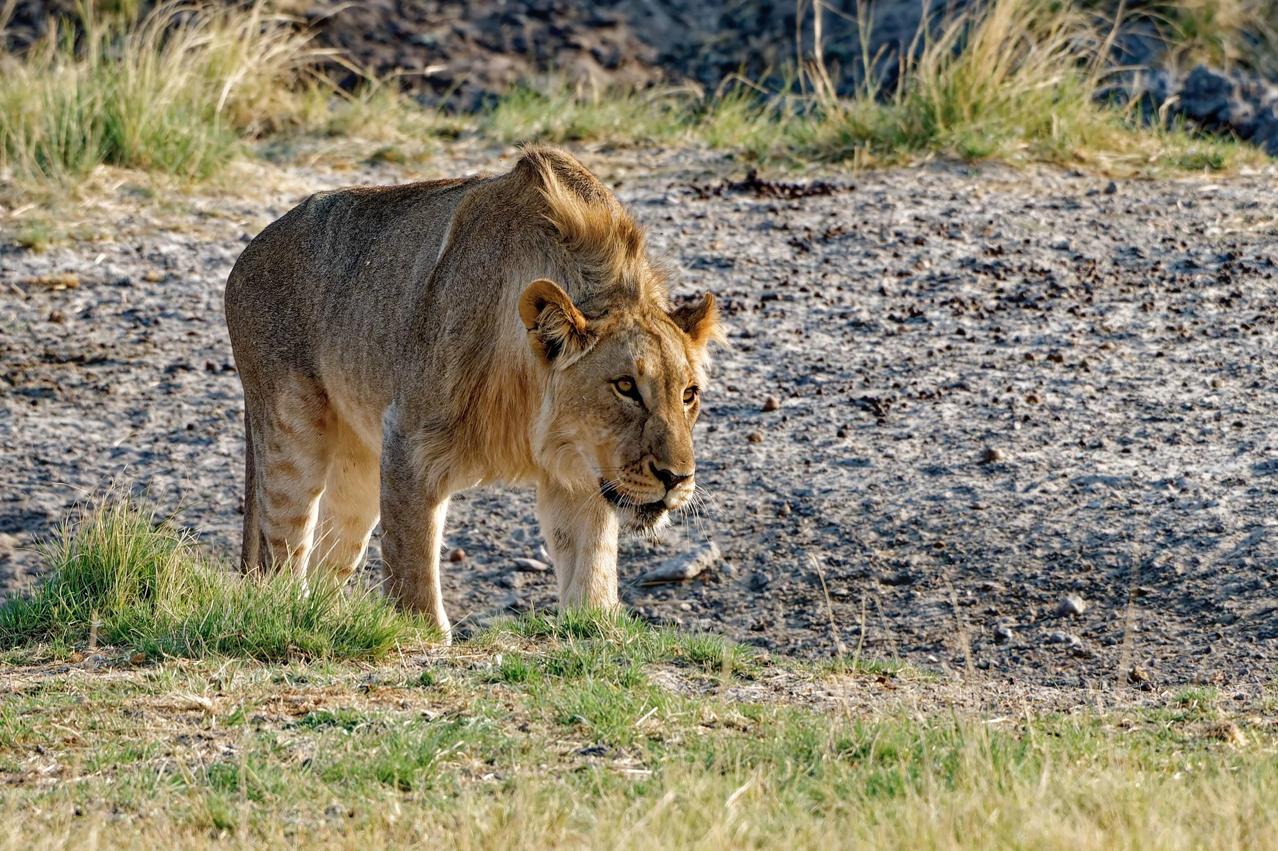 Namibia-2025_2888_DxO.jpg