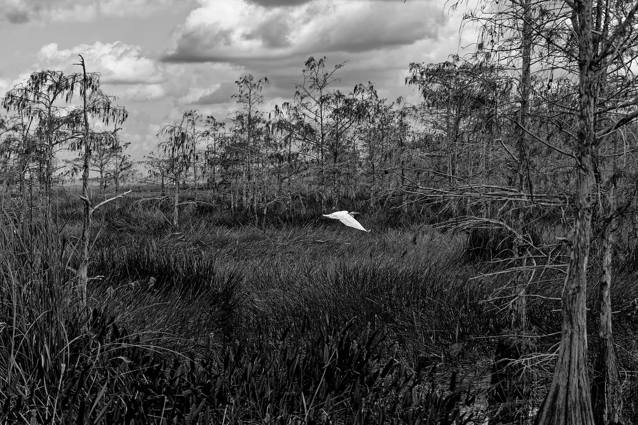 DSC00847_DxO.jpg