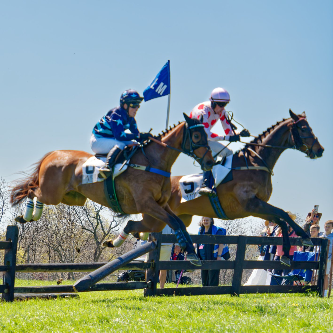 Two racehorses with jockeys jumping over a hurdle during a steeplechase race on a bright day, with spectators watching.