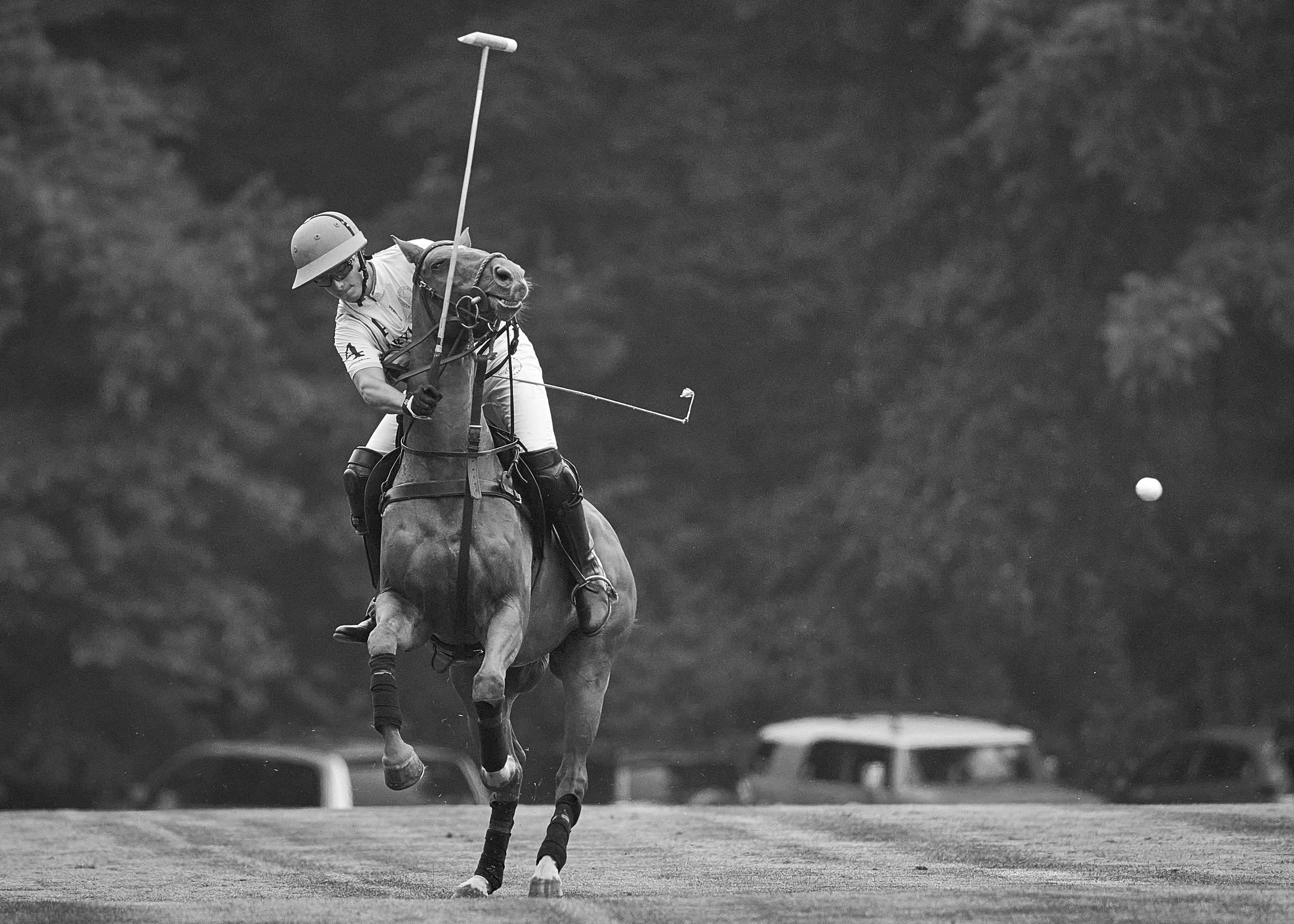 MS-My Lady's Manor Steeplechase Exhibition 6-14-25 97.jpg