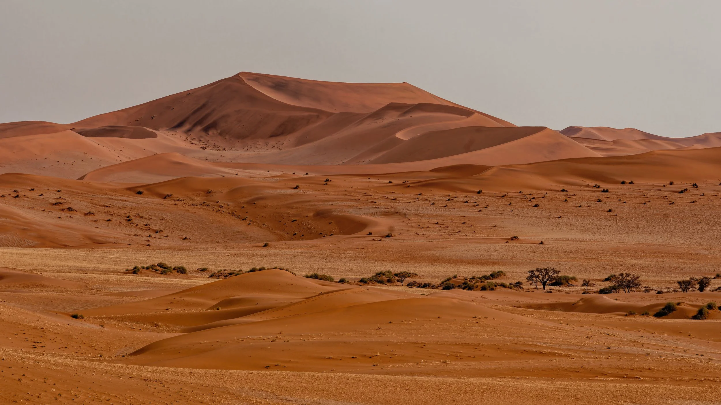 Namibia-2025_712_DxO.jpg
