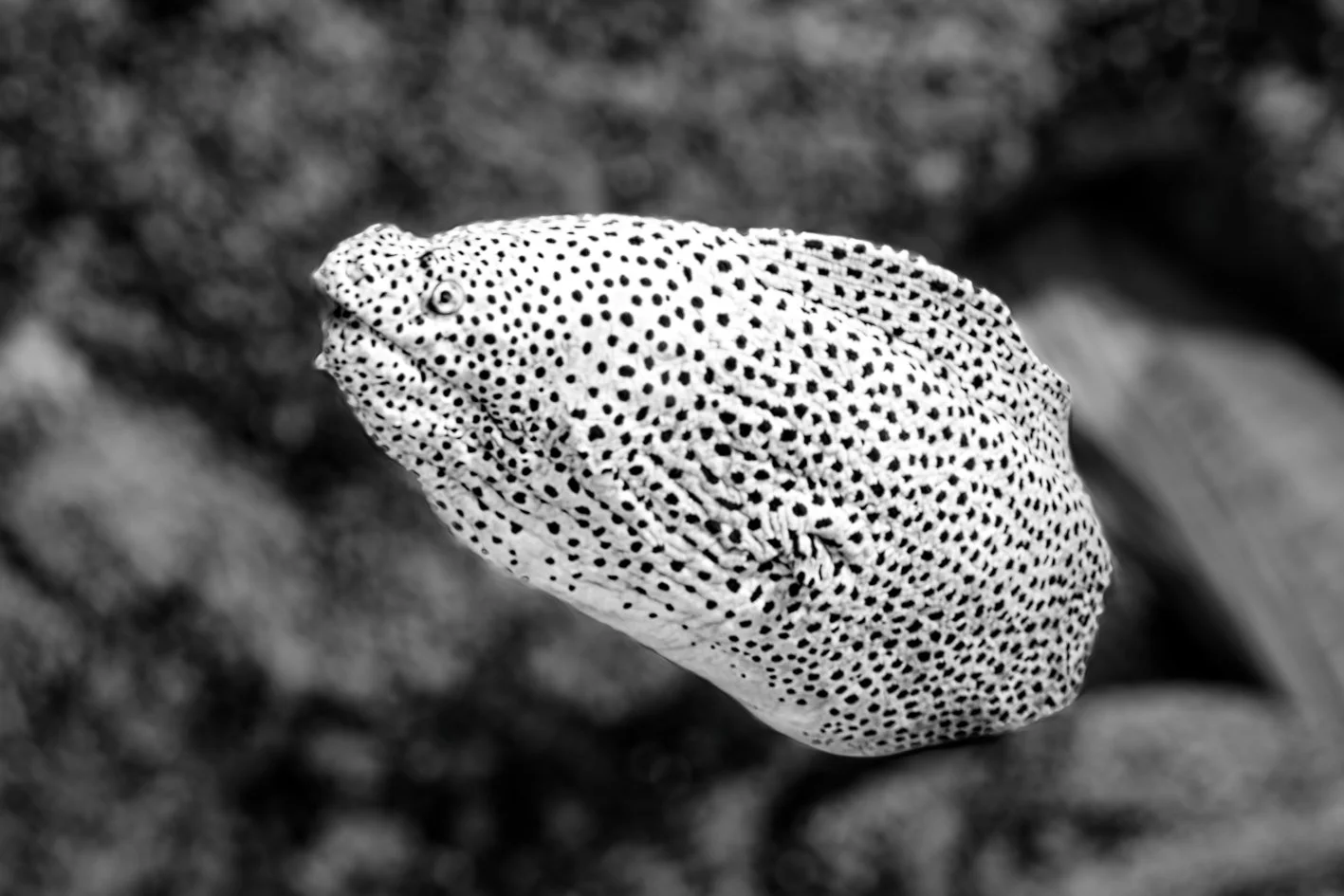 DSC05570_DxO.jpg