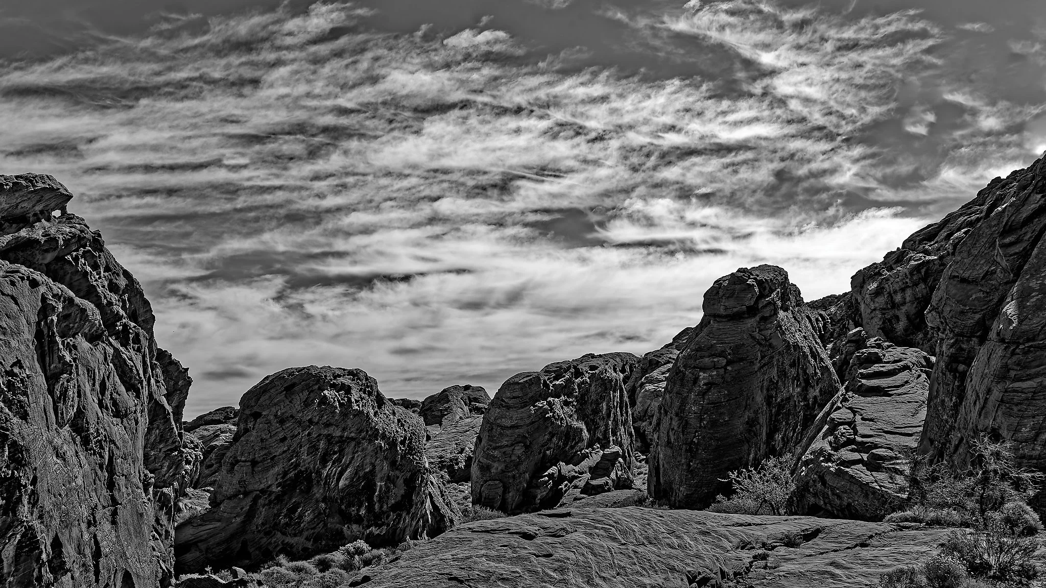 DSC03410_DxO.jpg