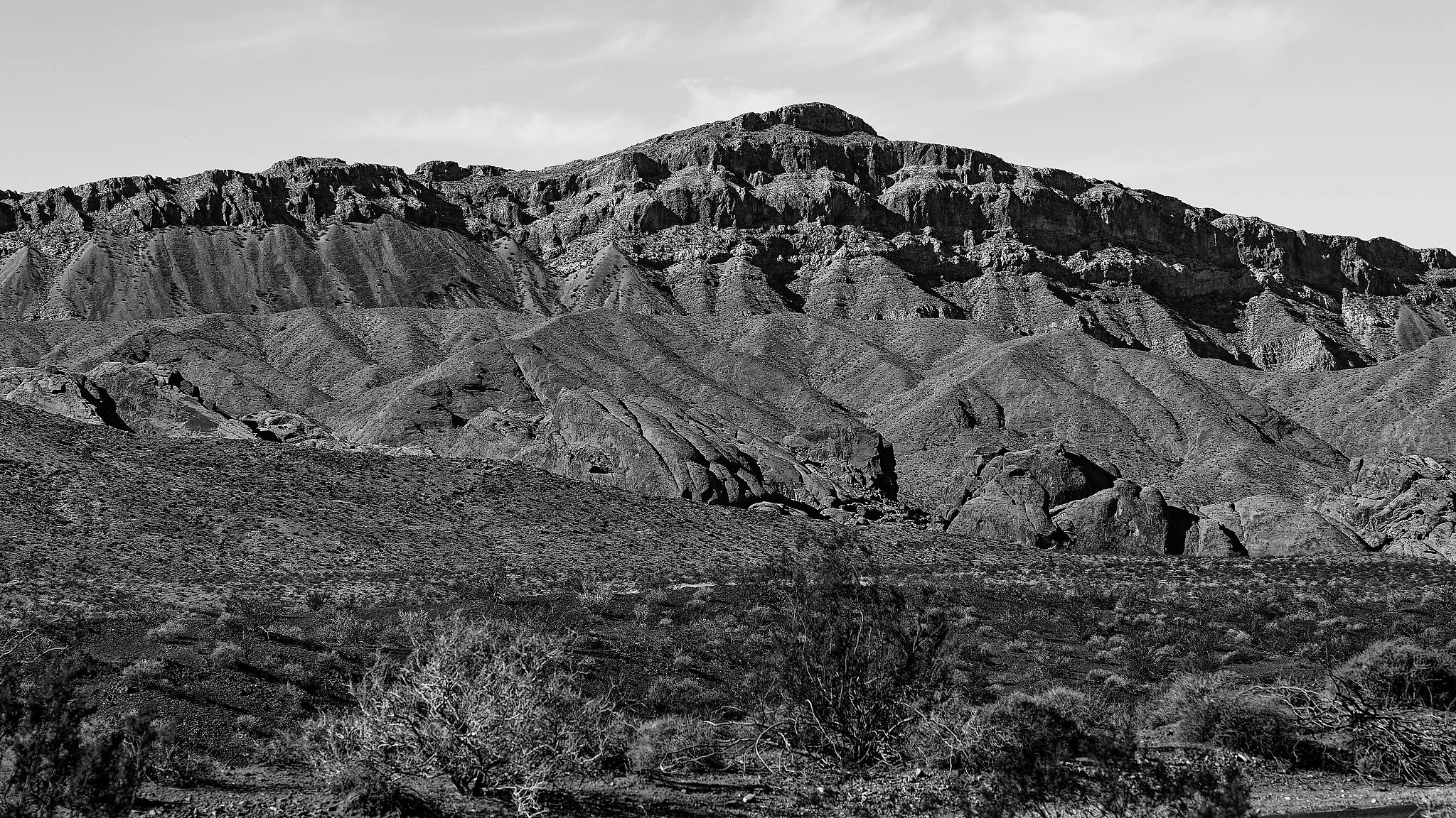 DSC03394_DxO_1.jpg