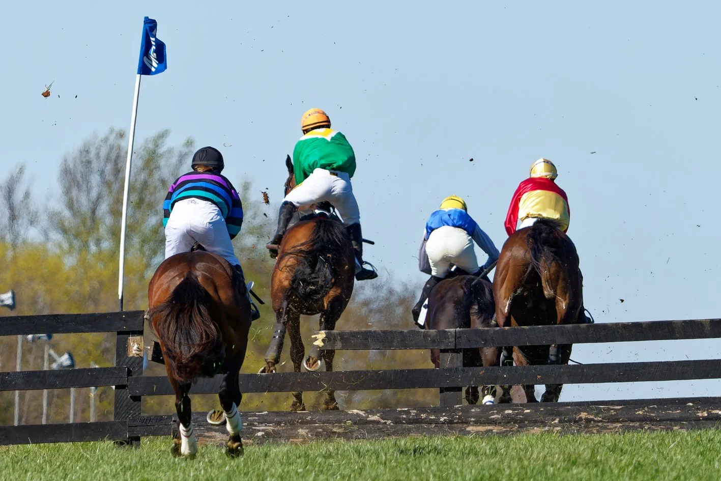 Four jockeys riding racehorses jump over a wooden fence during a horse race on a bright day, with a flag on a pole and trees in the background.