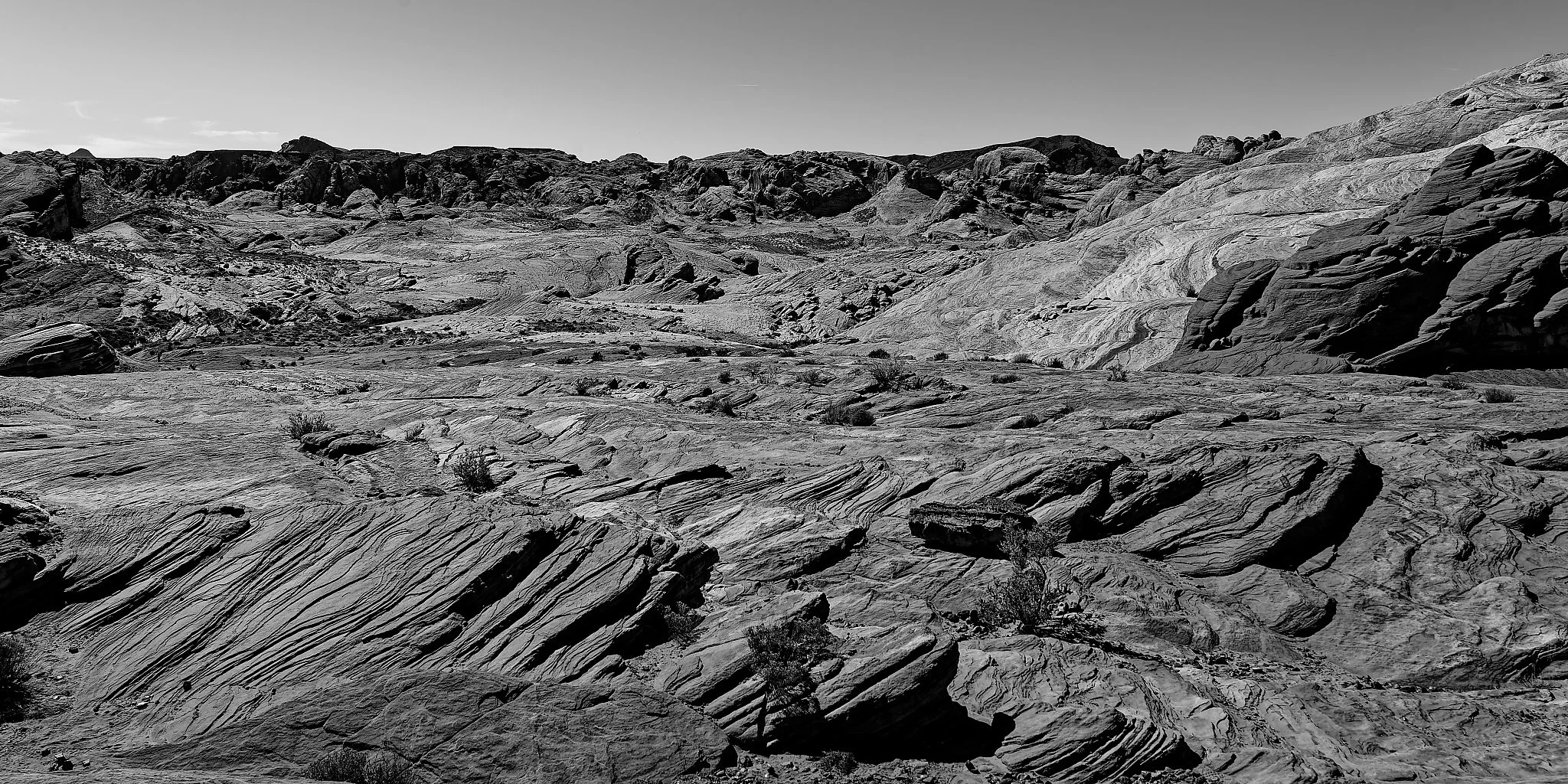 DSC03515_DxO.jpg