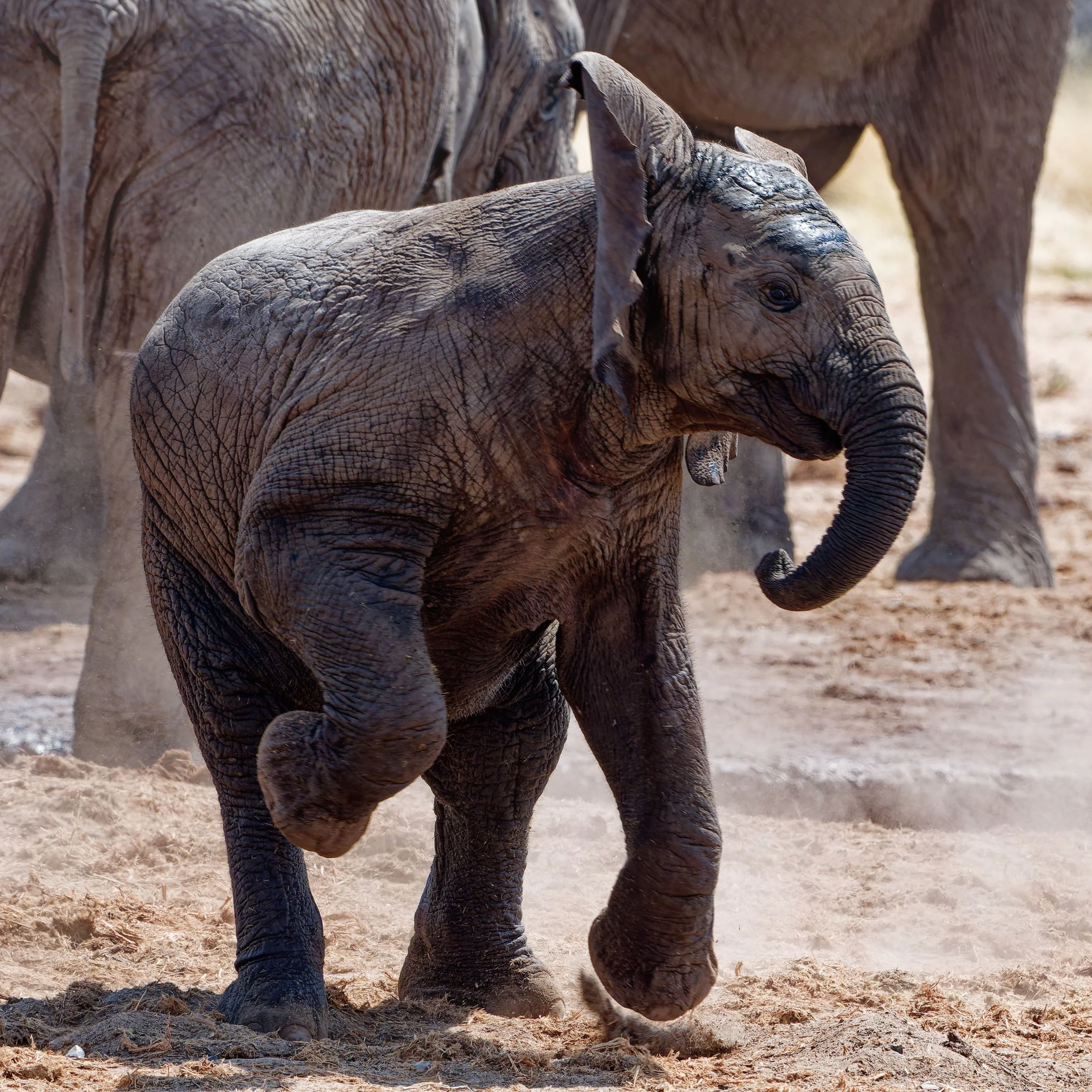 Namibia-2025_3169_DxO.jpg