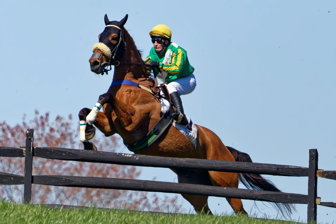 A jockey riding a horse over a hurdle during a steeplechase race in bright daylight.