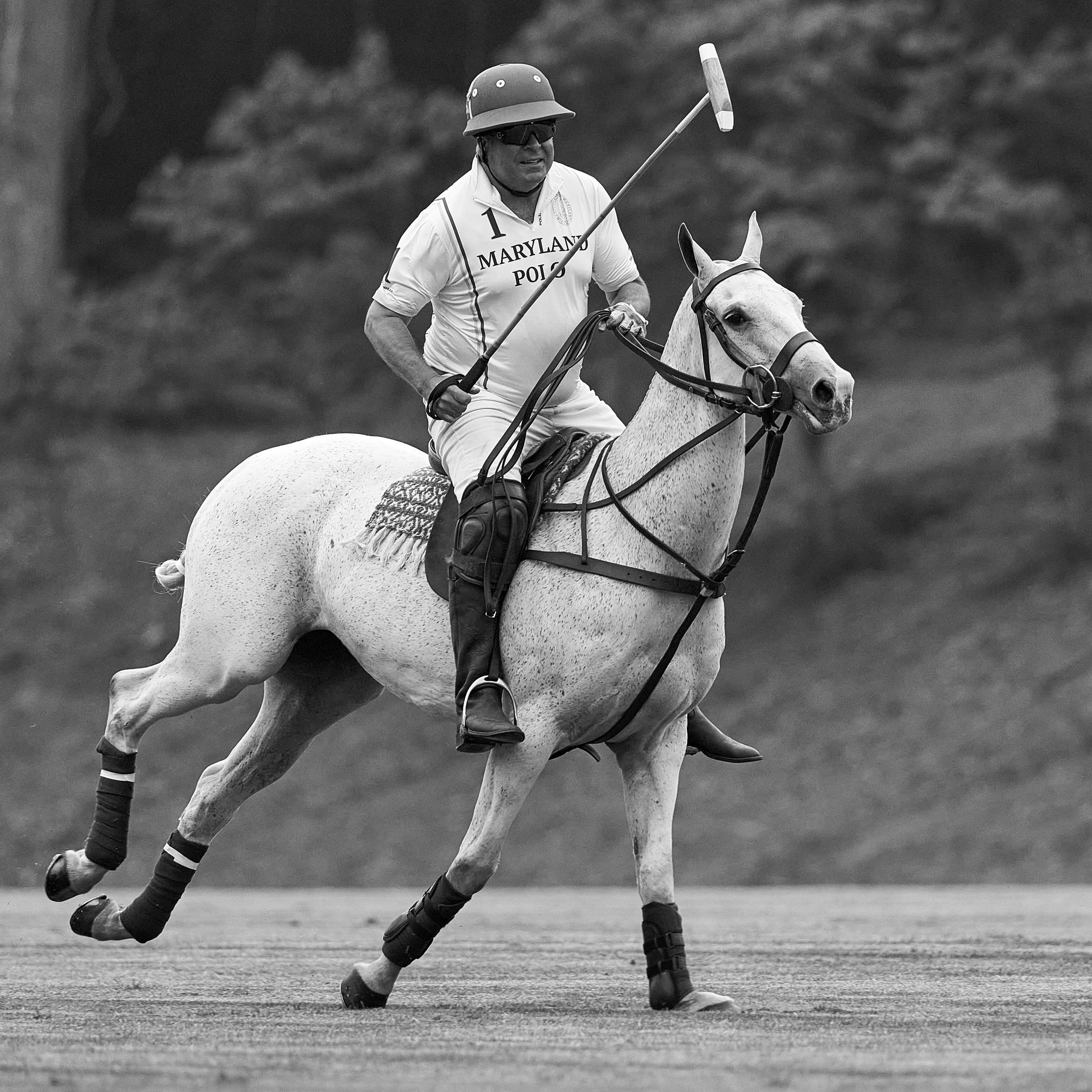 MS-My Lady's Manor Steeplechase Exhibition 6-14-25 1.jpg