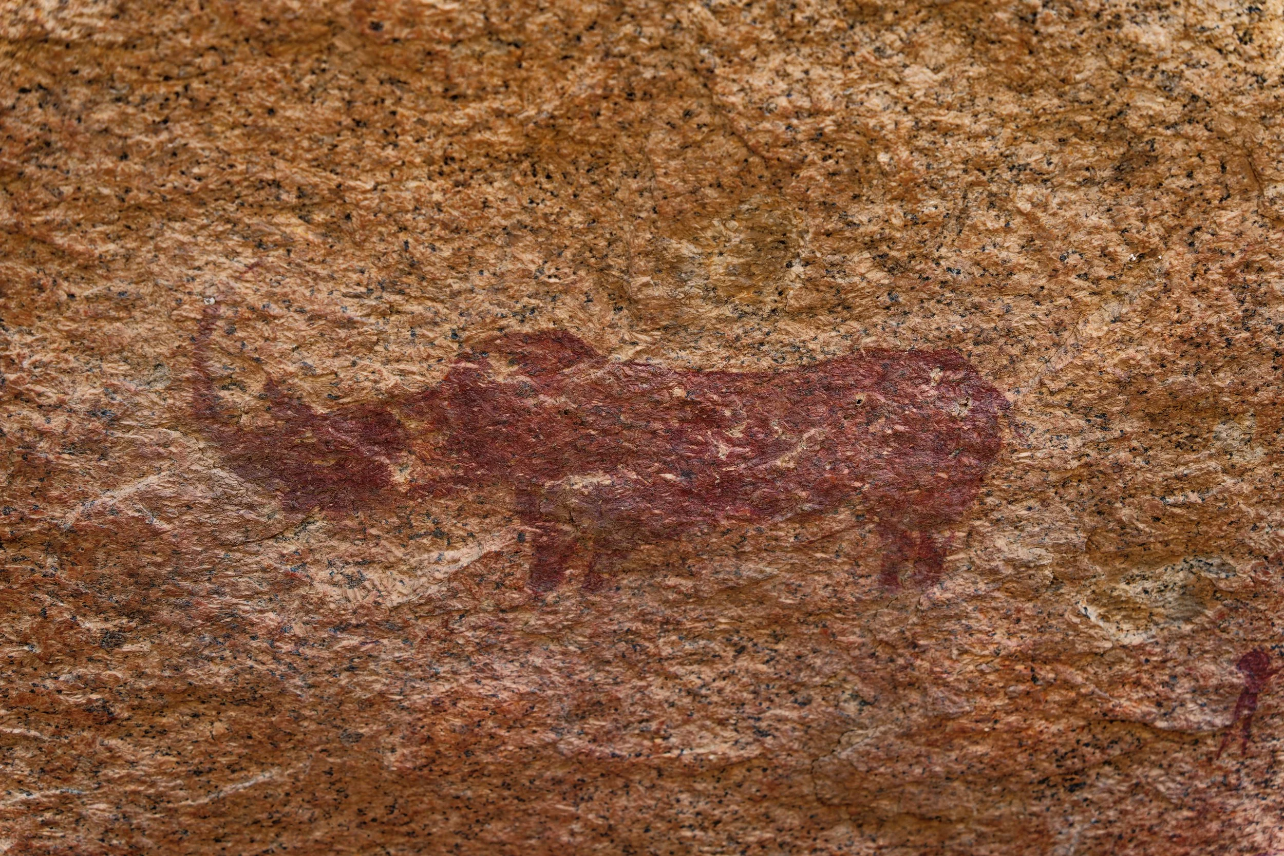 Namibia-2025_1579_DxO.jpg