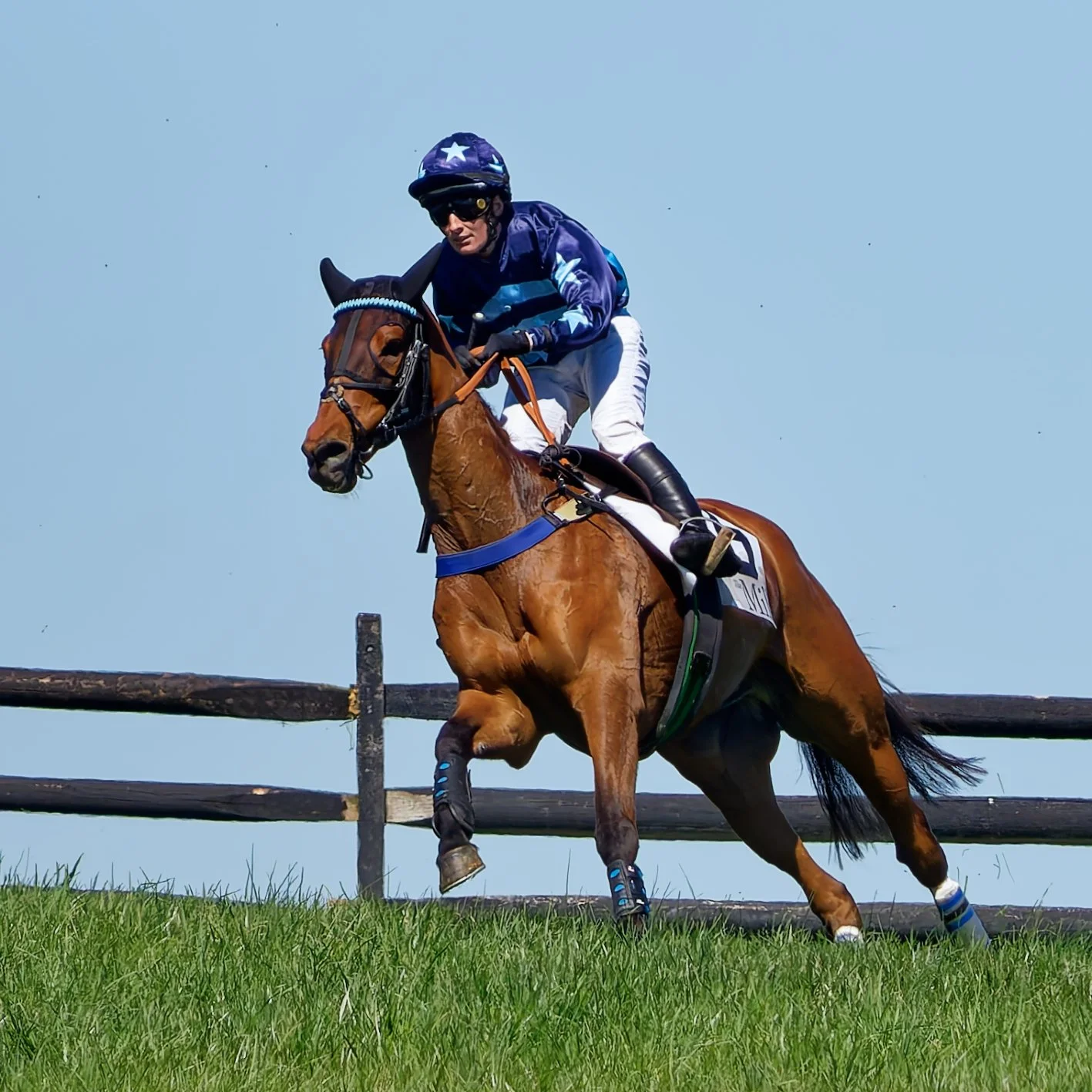 A jockey riding a brown racehorse over a grassy field with a wooden fence in the background, under a clear blue sky.
