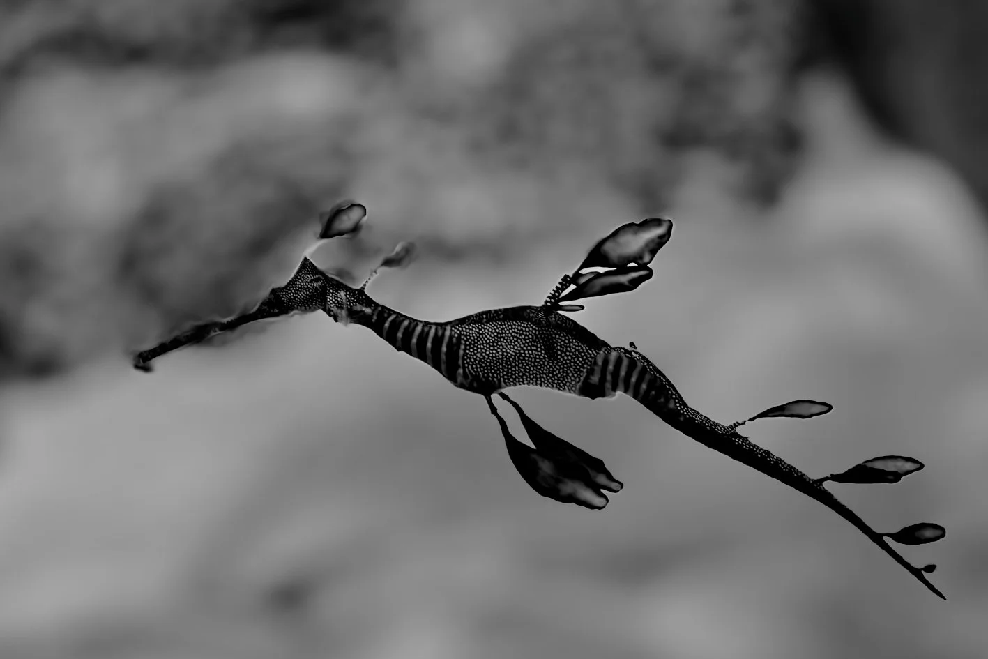 DSC05507_DxO.jpg