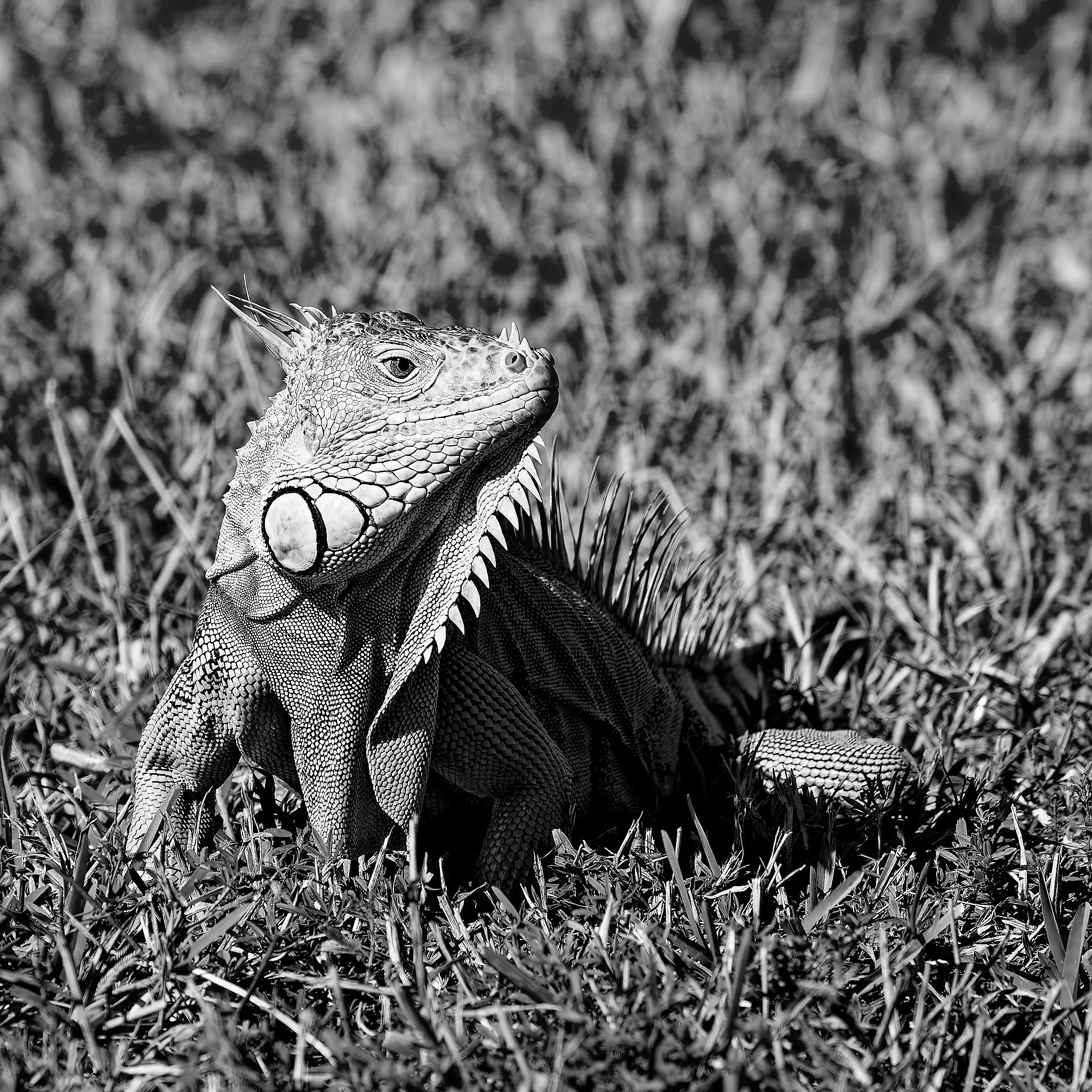 DSC01058_DxO.jpg