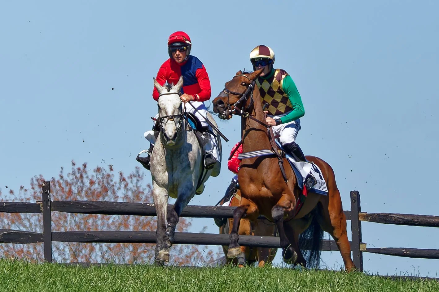Two jockeys riding horses in a jump race, clearing a wooden fence against a clear blue sky.