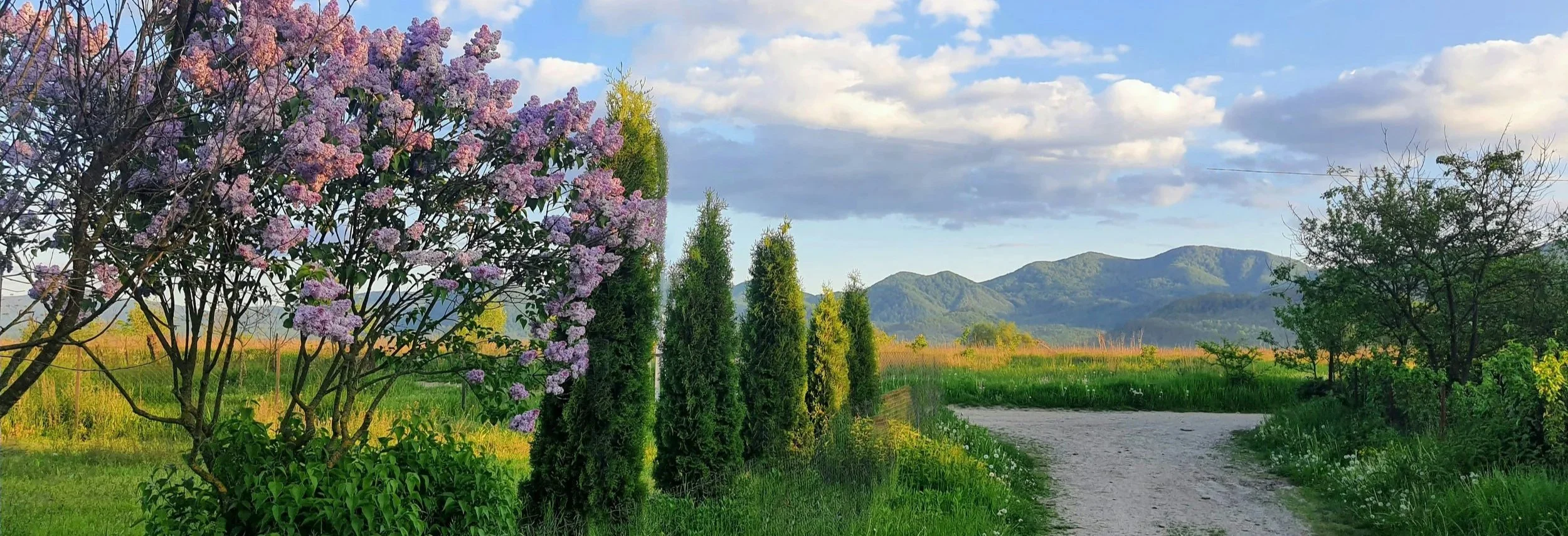 Rethinking Risk in an Era of Shifting Assumptions