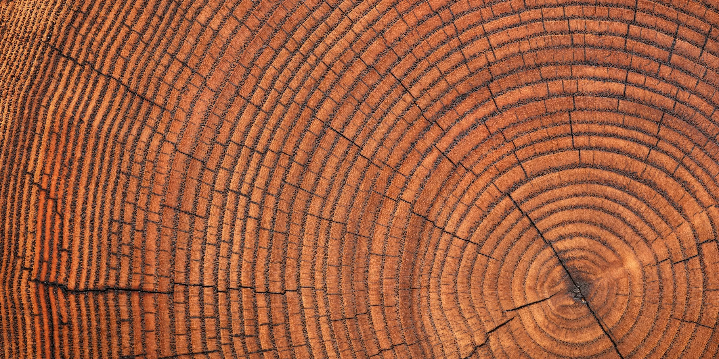 A Linear Data Model. In a Circular Economy.