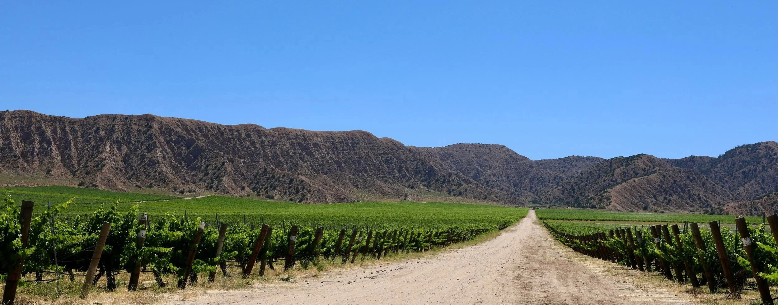 The Tier Problem: Why Your Data Stops Where Your Influence Does