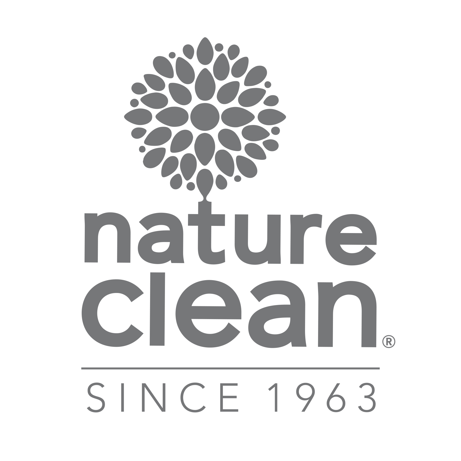 Nature Clean Grey