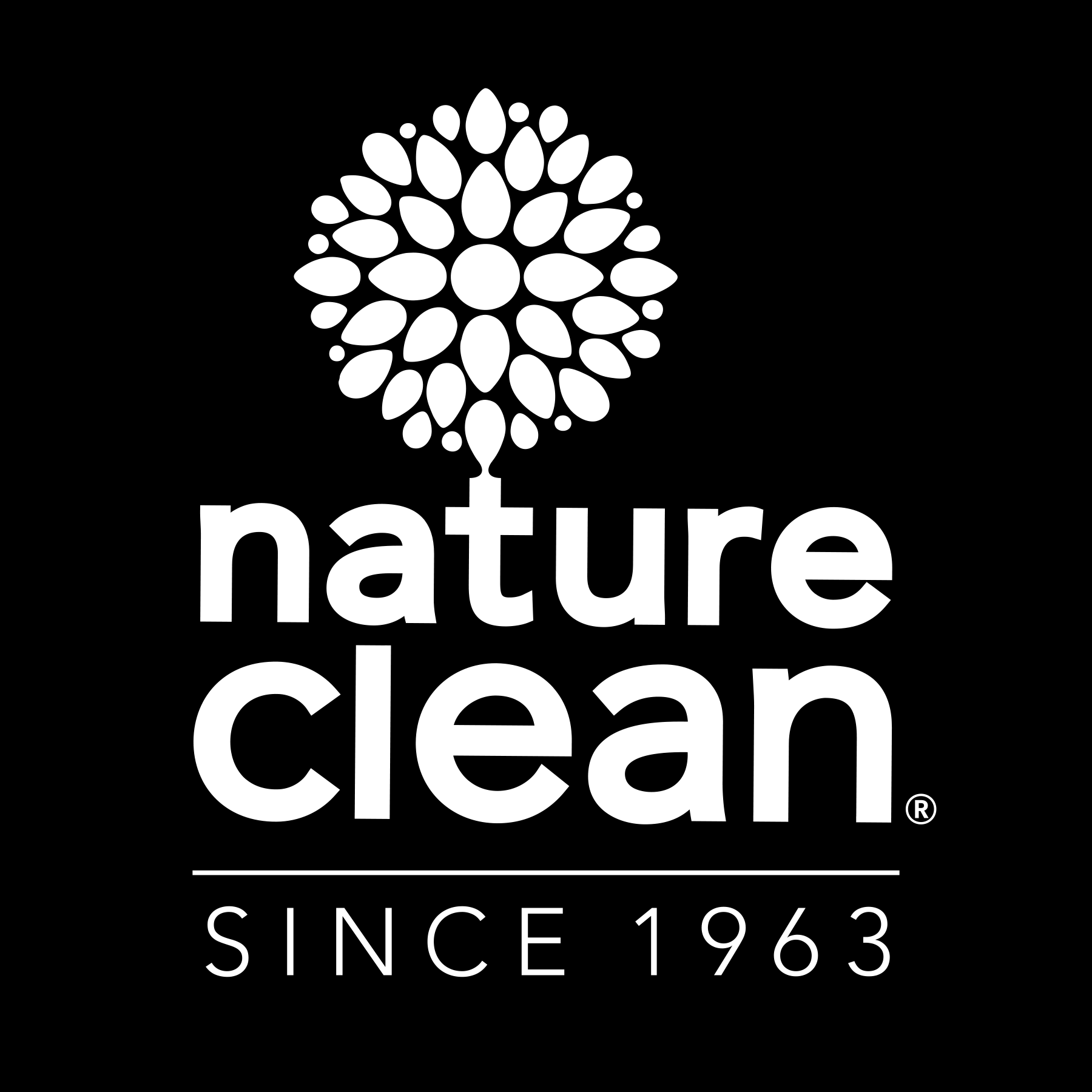 nature_clean_since_1963_white_screen_only.png