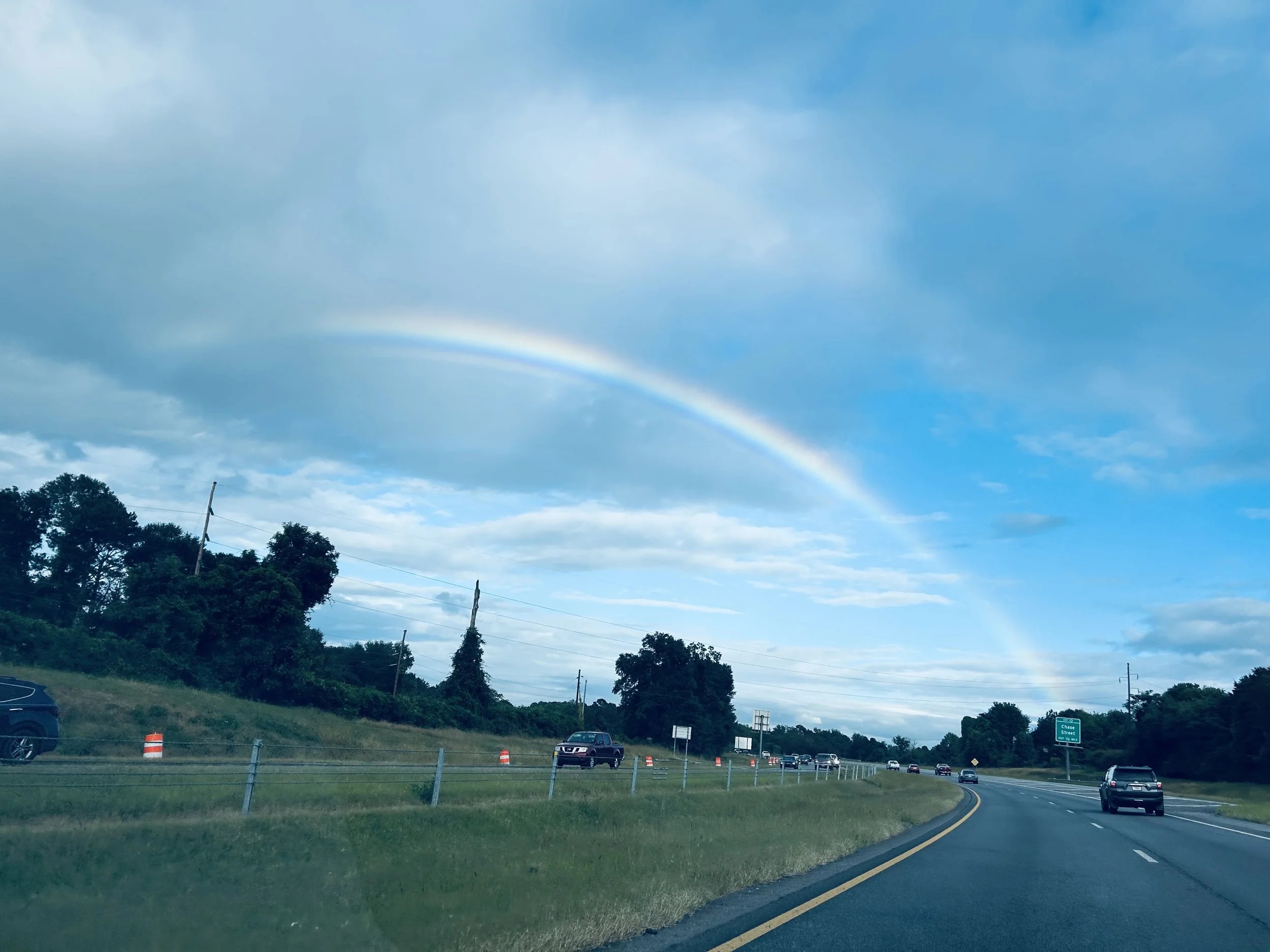 IMG_2593.jpeg