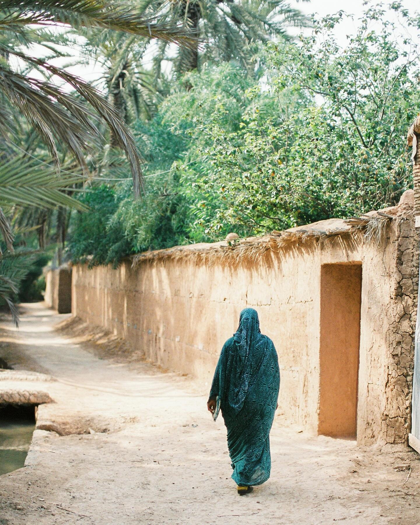 The oases are true havens for the soul, where the beauty of life flourishes even in the most arid environments. Every swaying leaf and every drop of water reflect the perfect harmony between life and earth. #oasislife #luxuryexperience #morocco #film