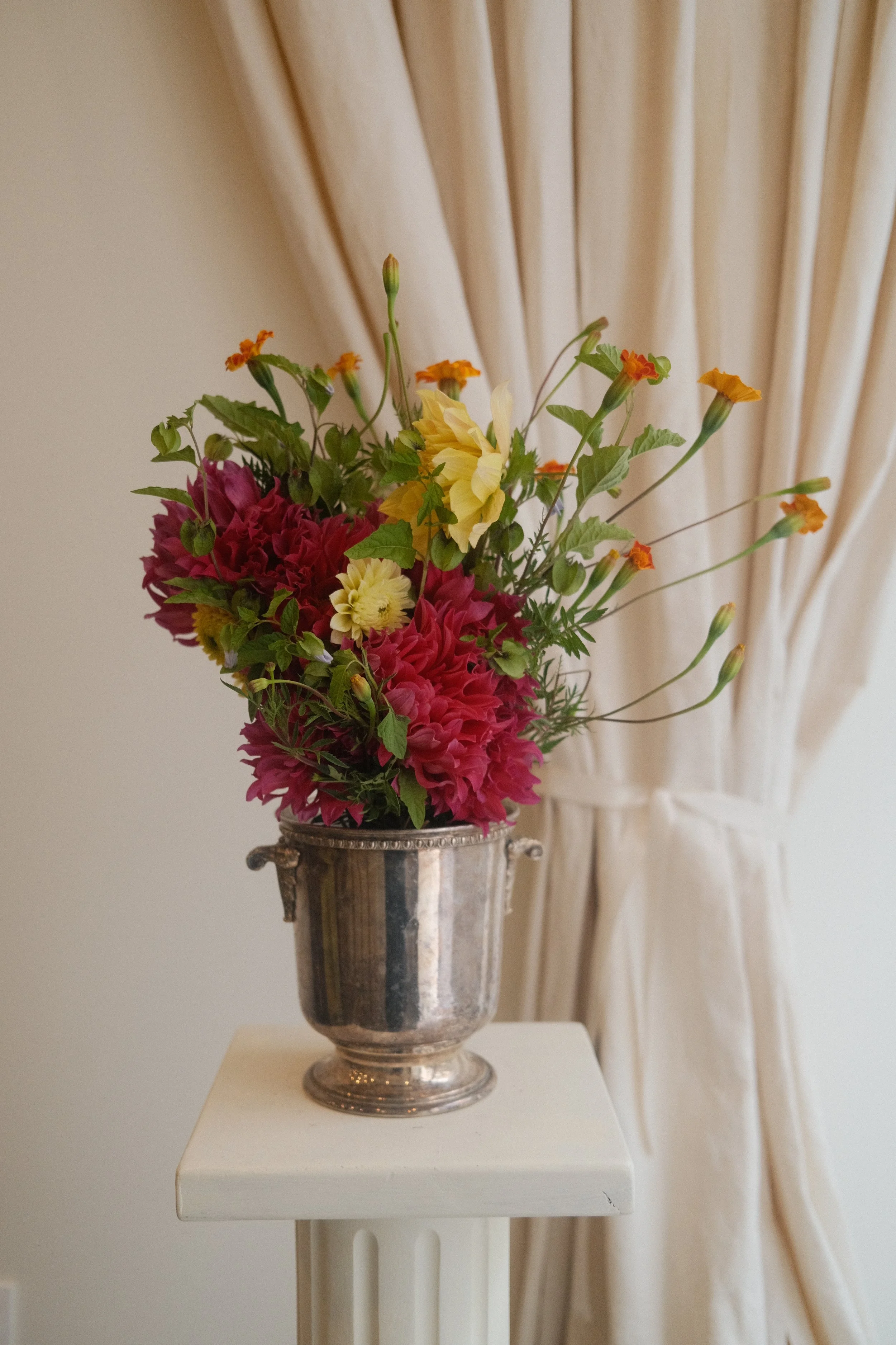 DSCF7430.JPG