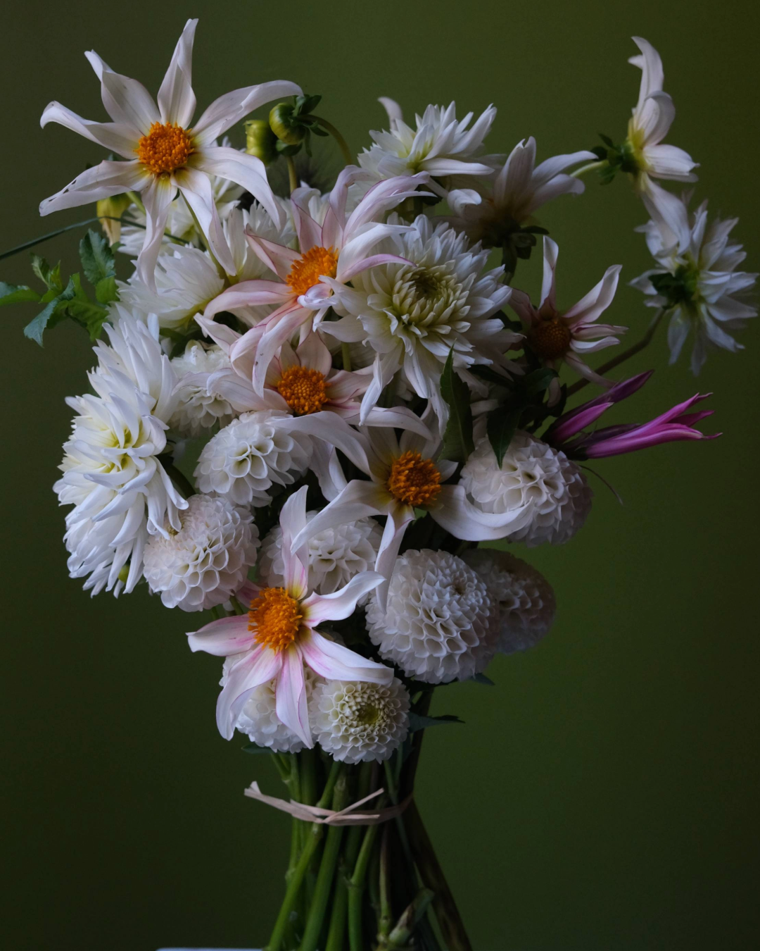 Sans titre-2 (15) 2.PNG