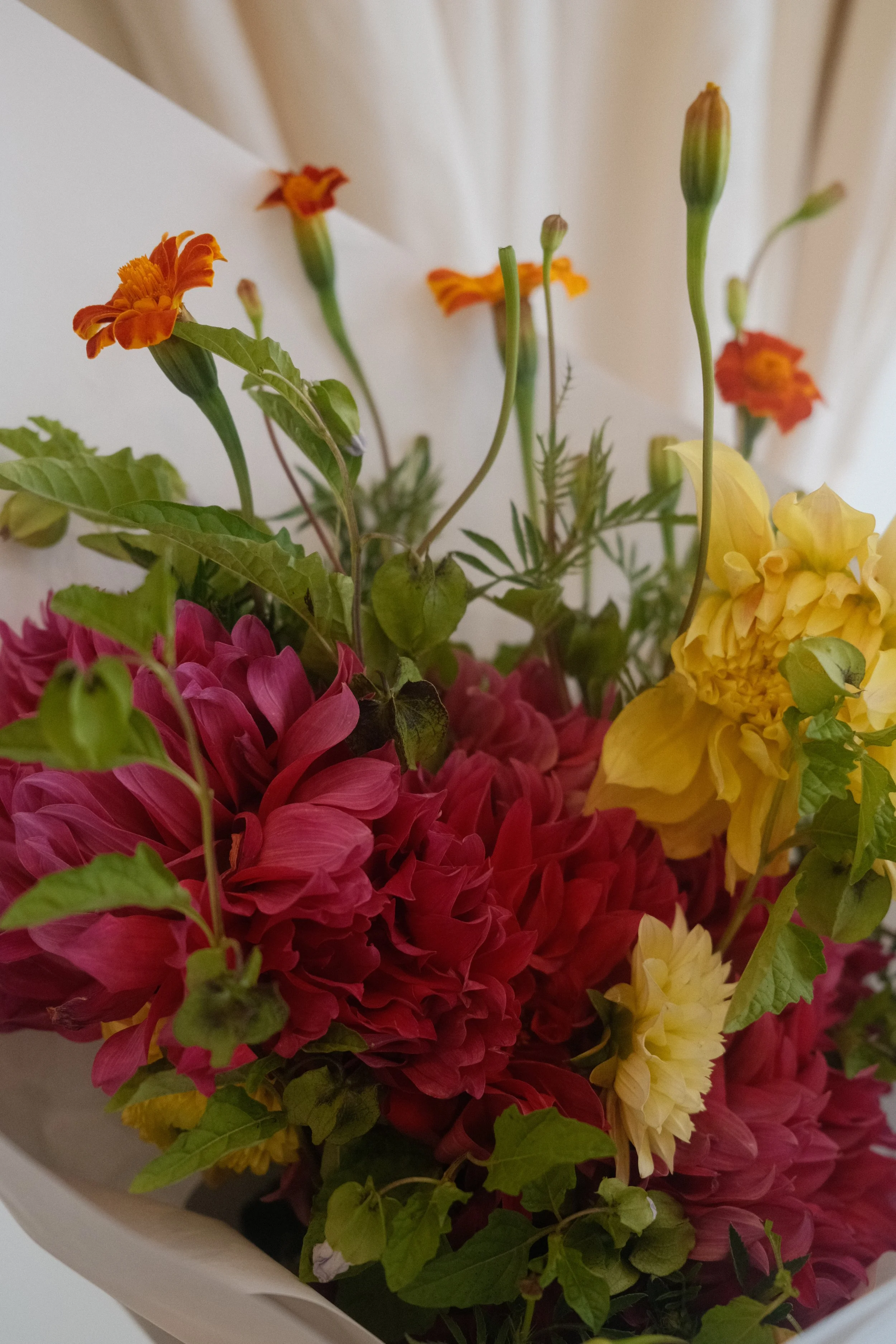 DSCF7404.JPG