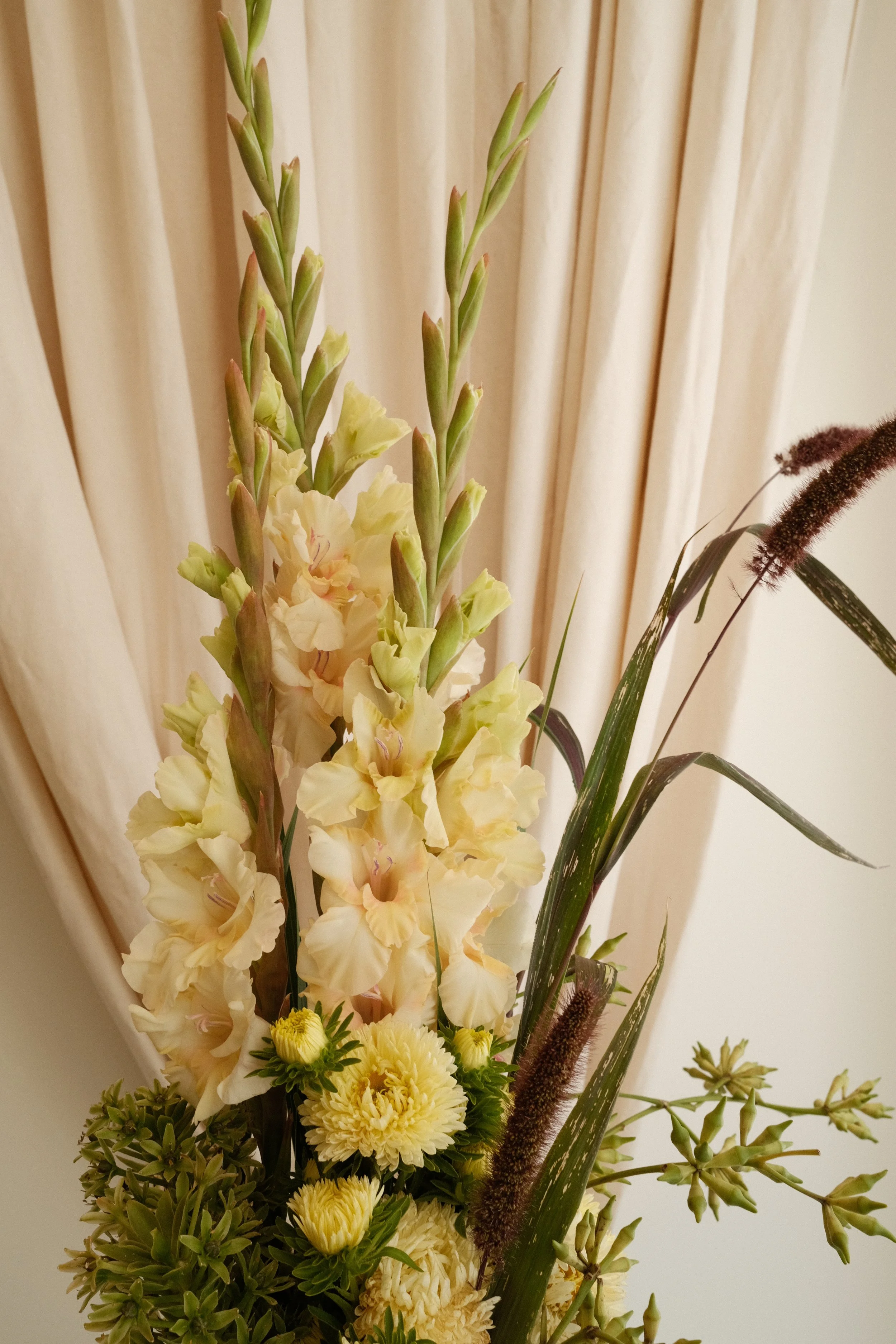 DSCF7681.JPG