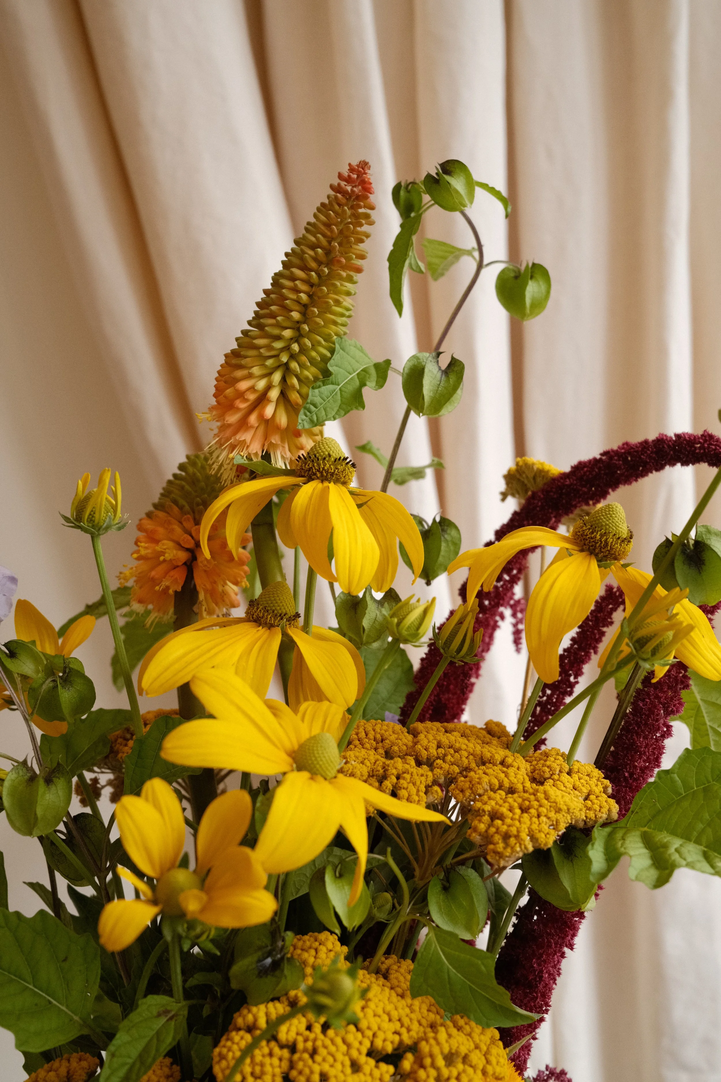 DSCF7453.JPG