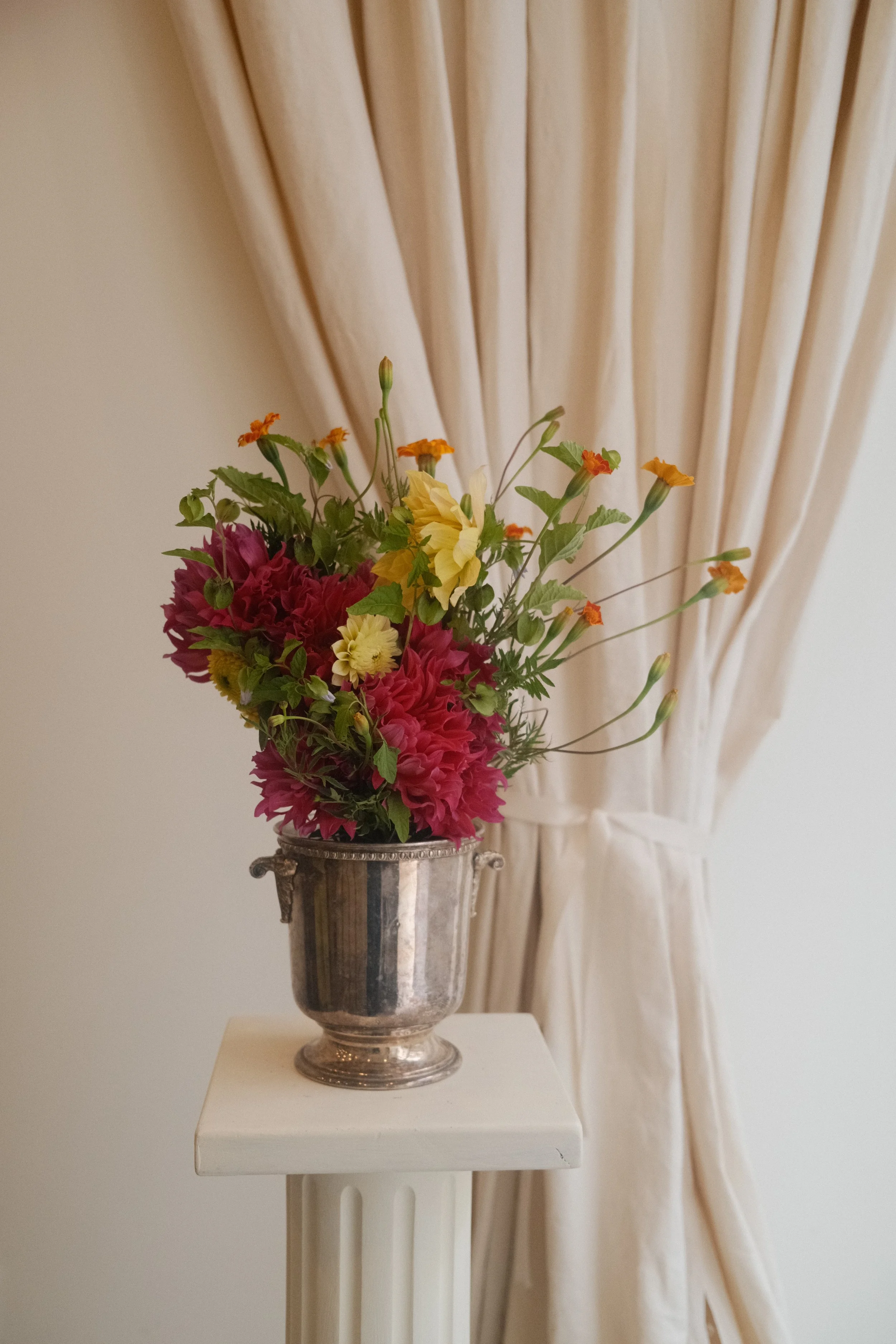 DSCF7425.JPG