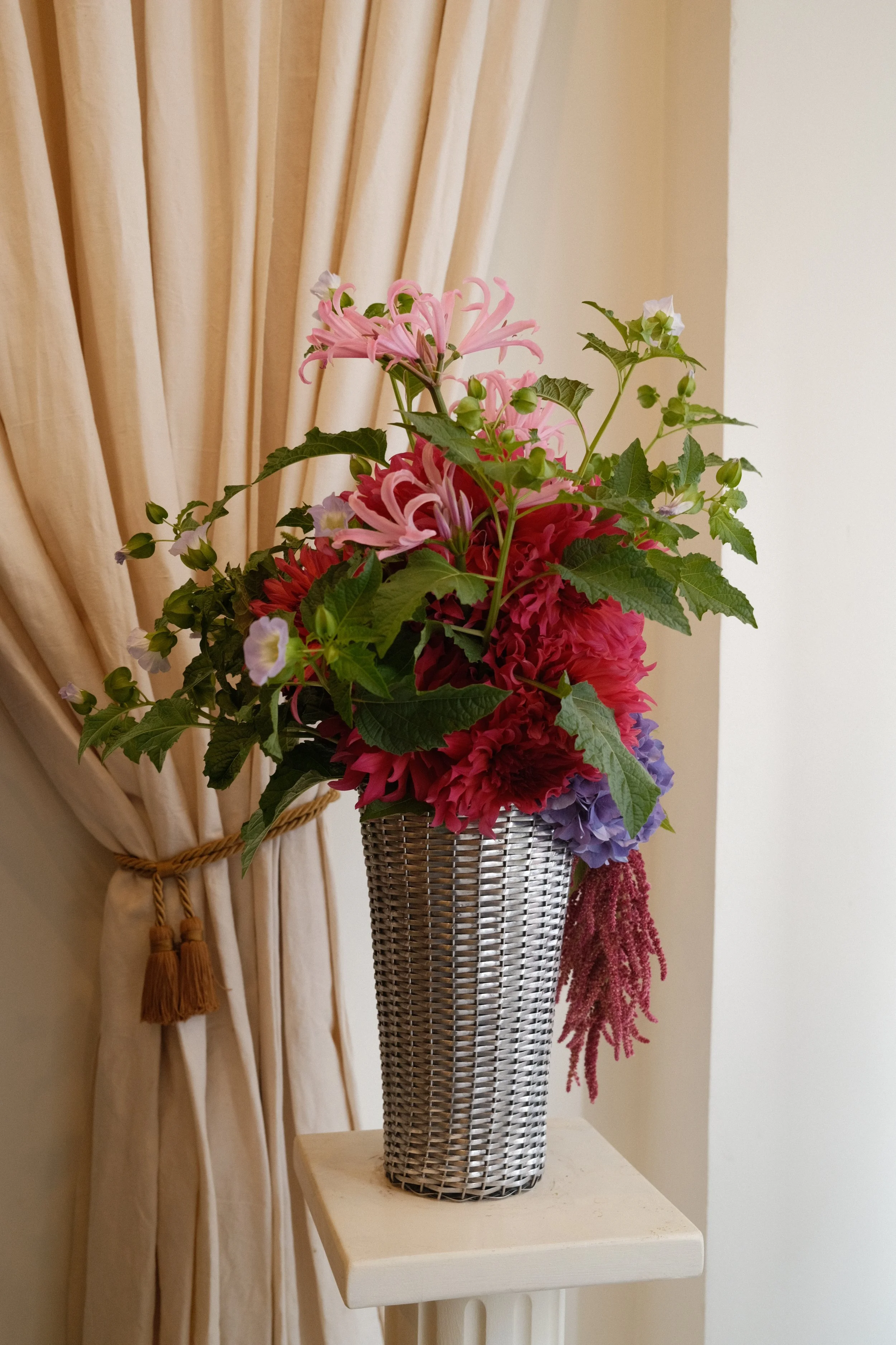 DSCF7798.JPG