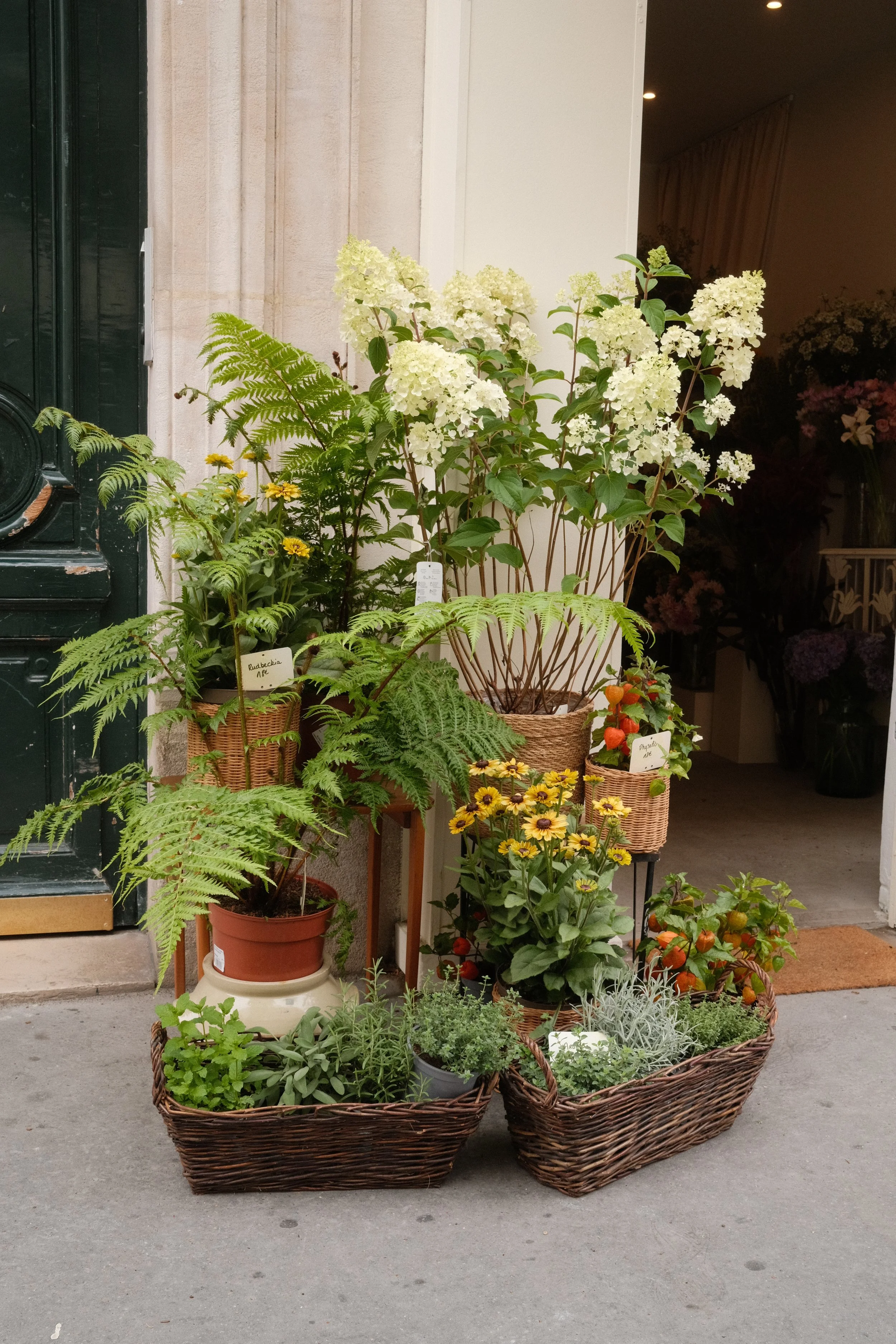 DSCF7527.JPG