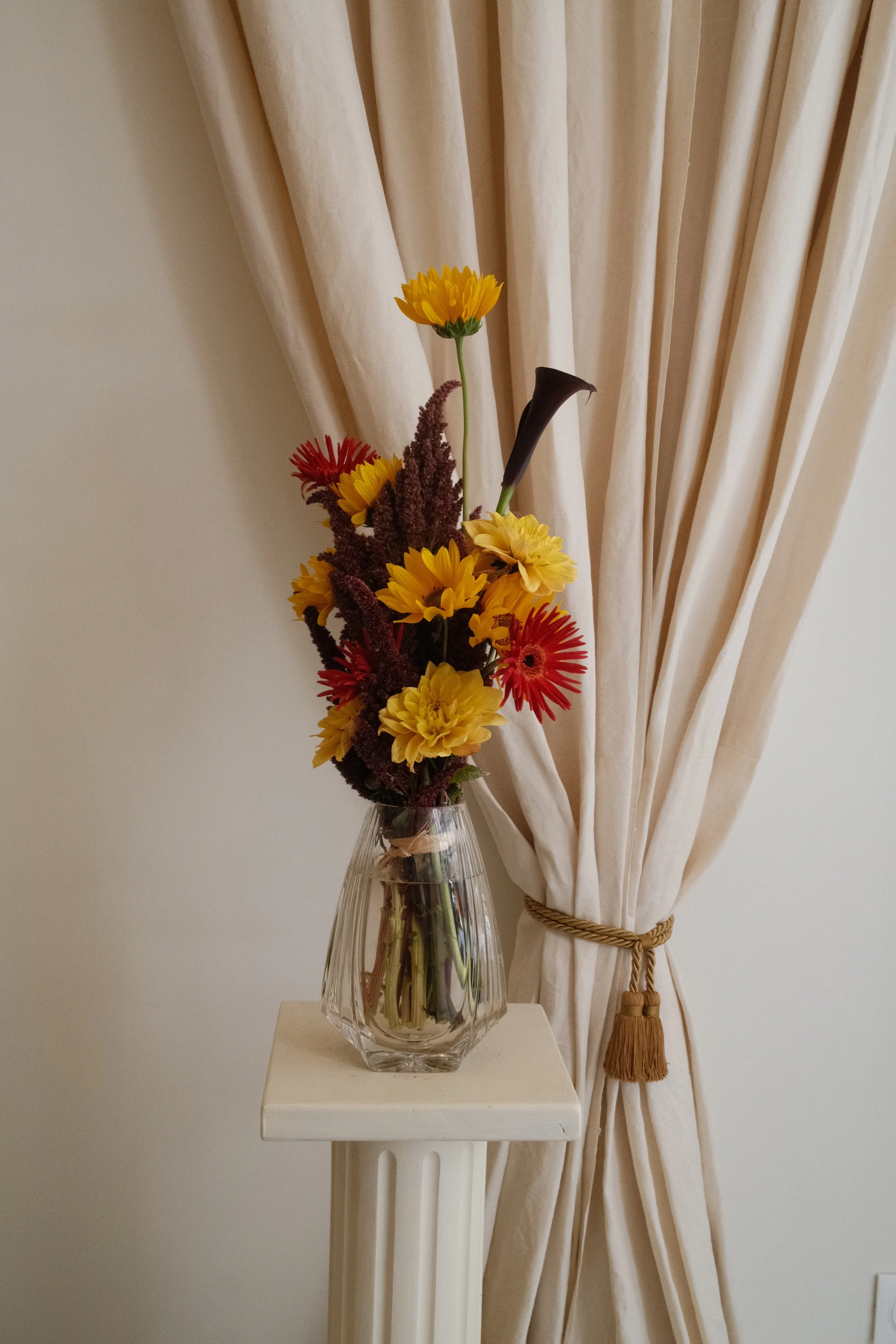 DSCF7517.JPG