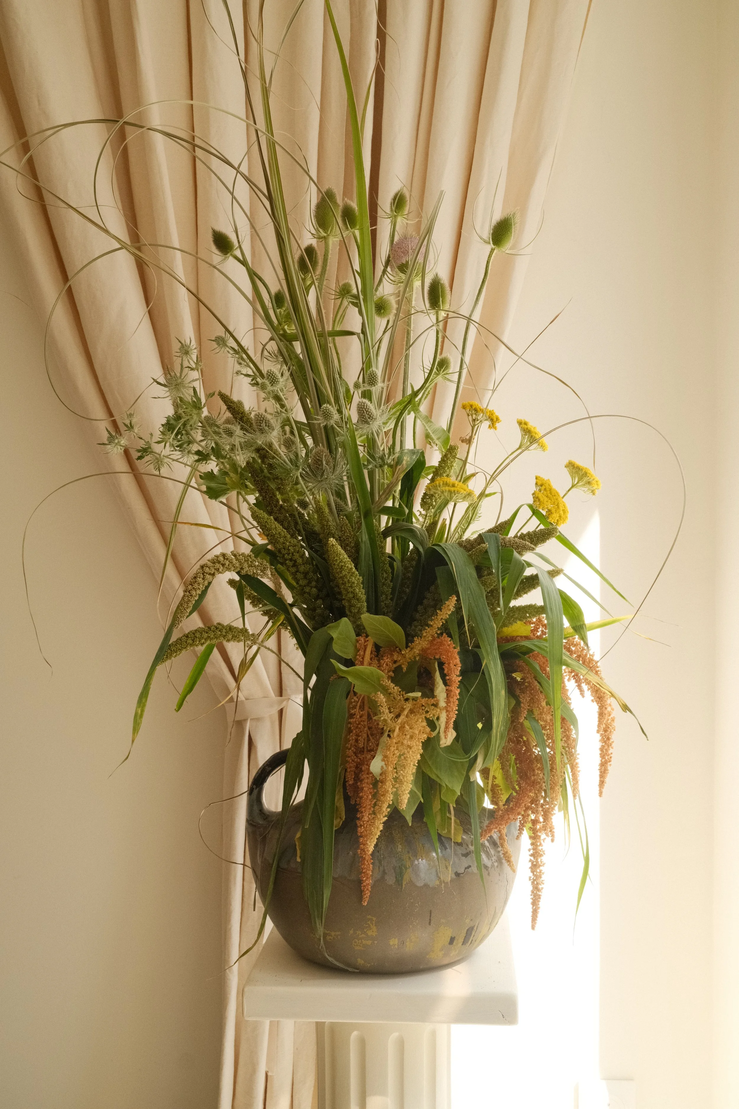 DSCF7316.JPG