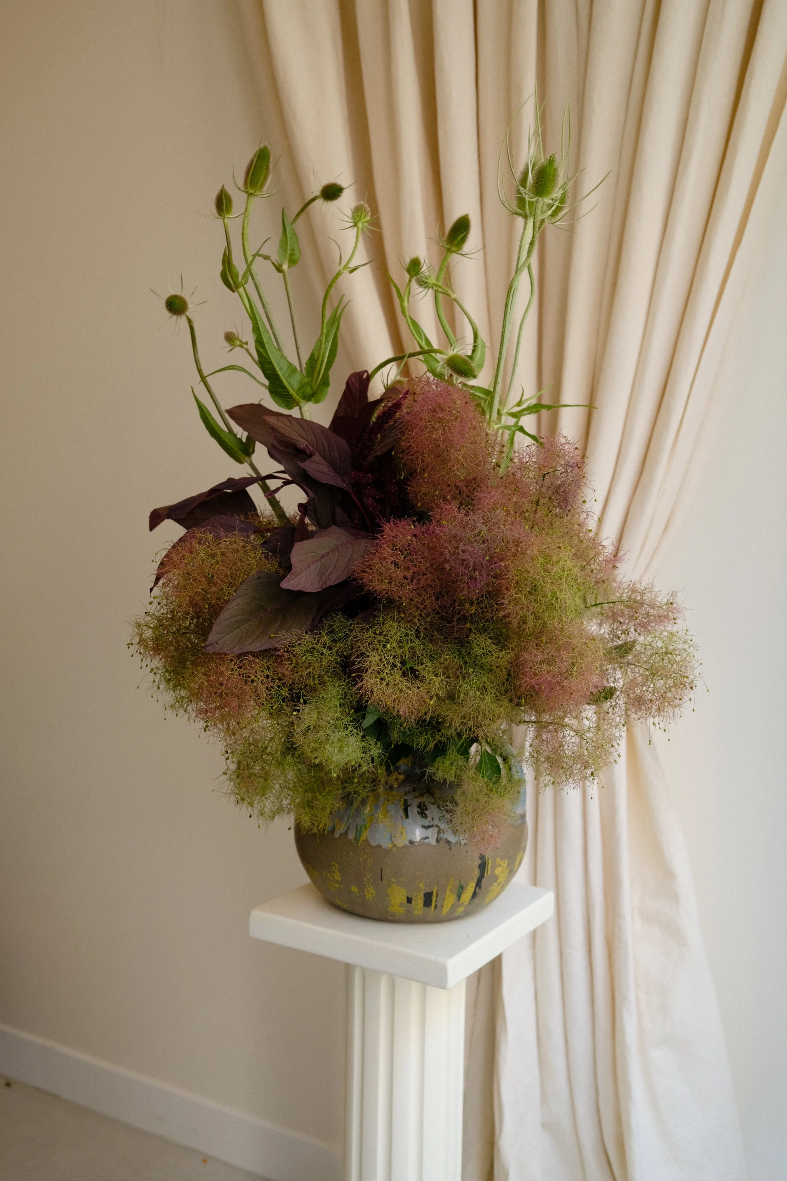 DSCF7184-2.jpg