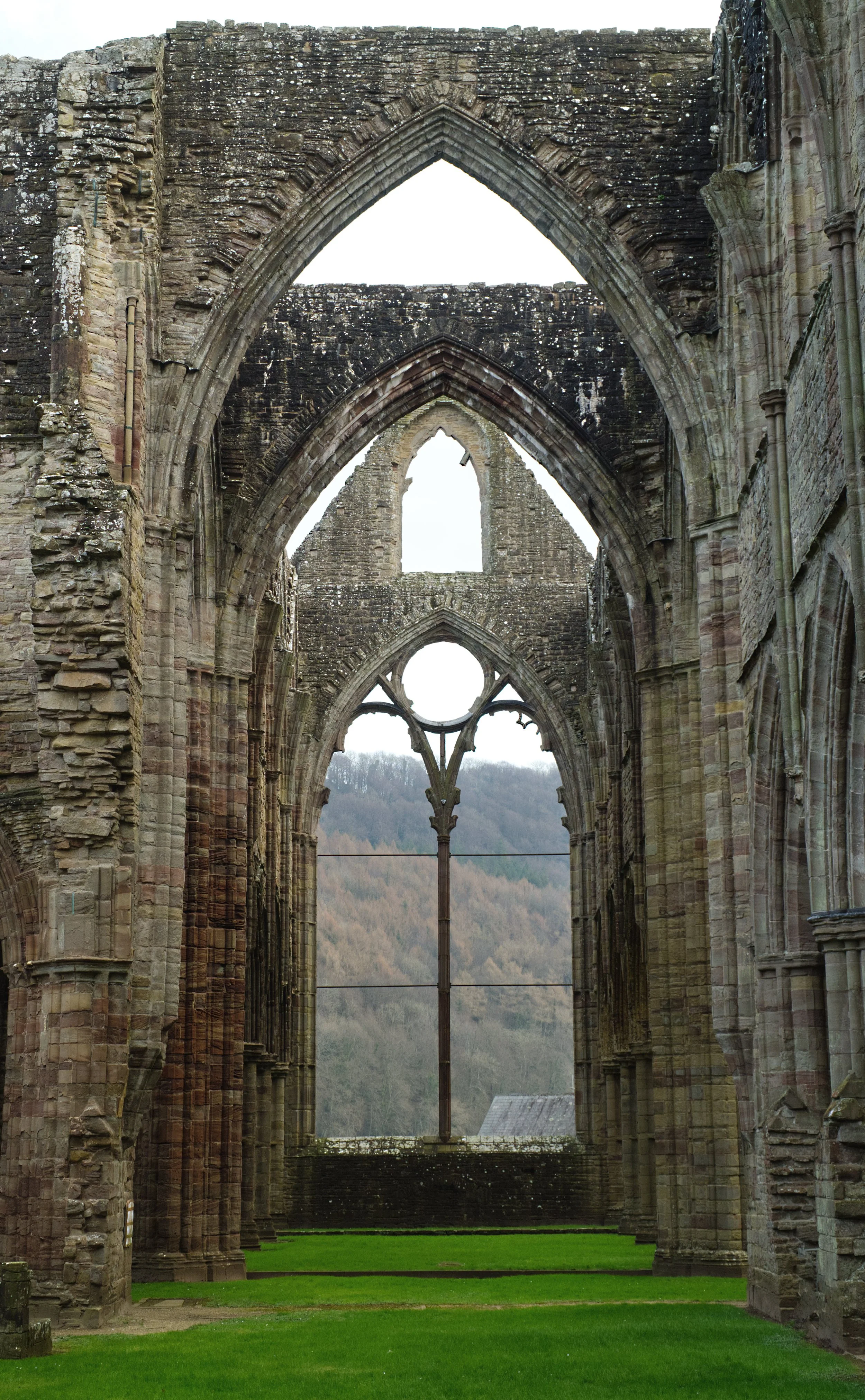 Abbey Skeleton.jpg